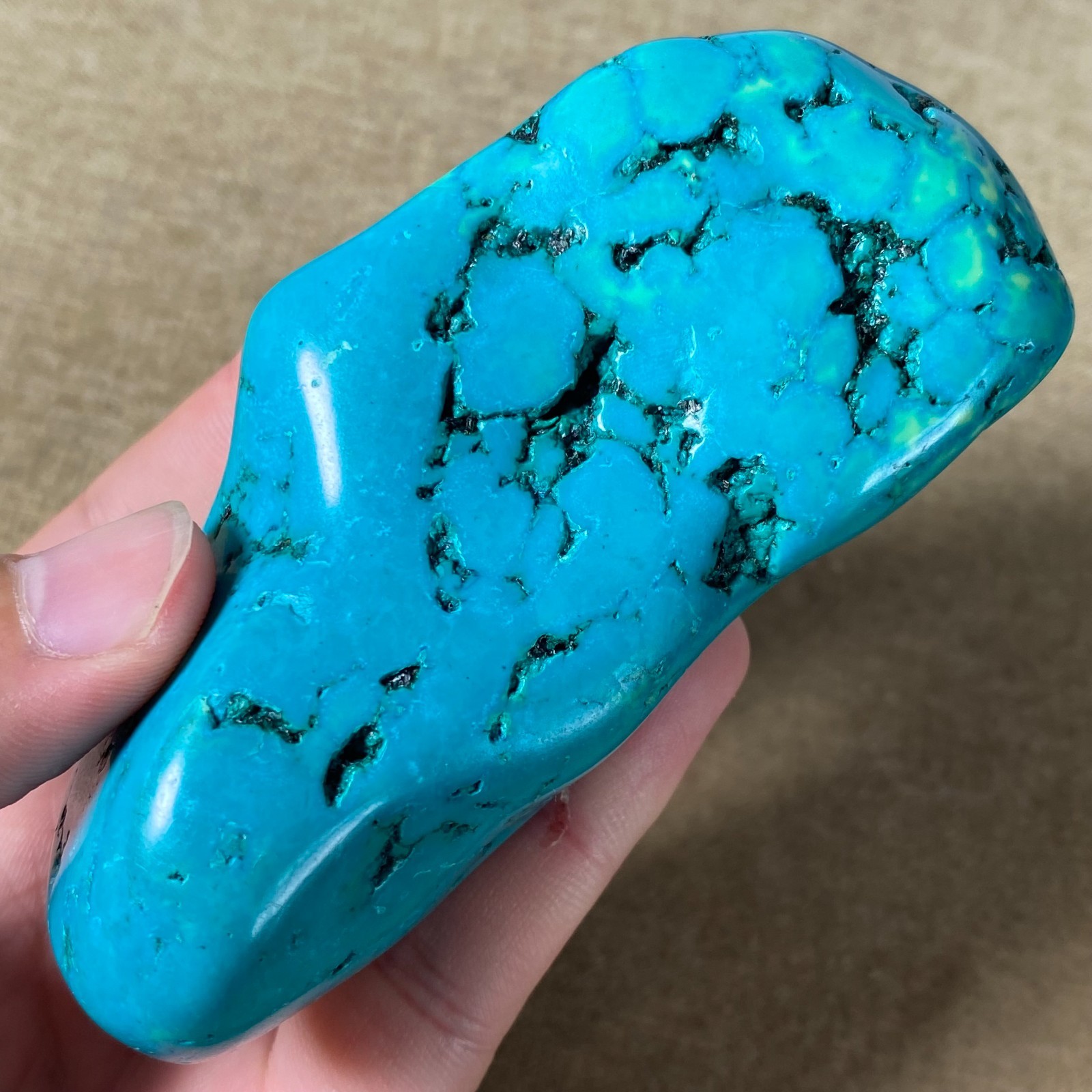 183g Beautiful Turquoise Nugget Rough specimen W381
