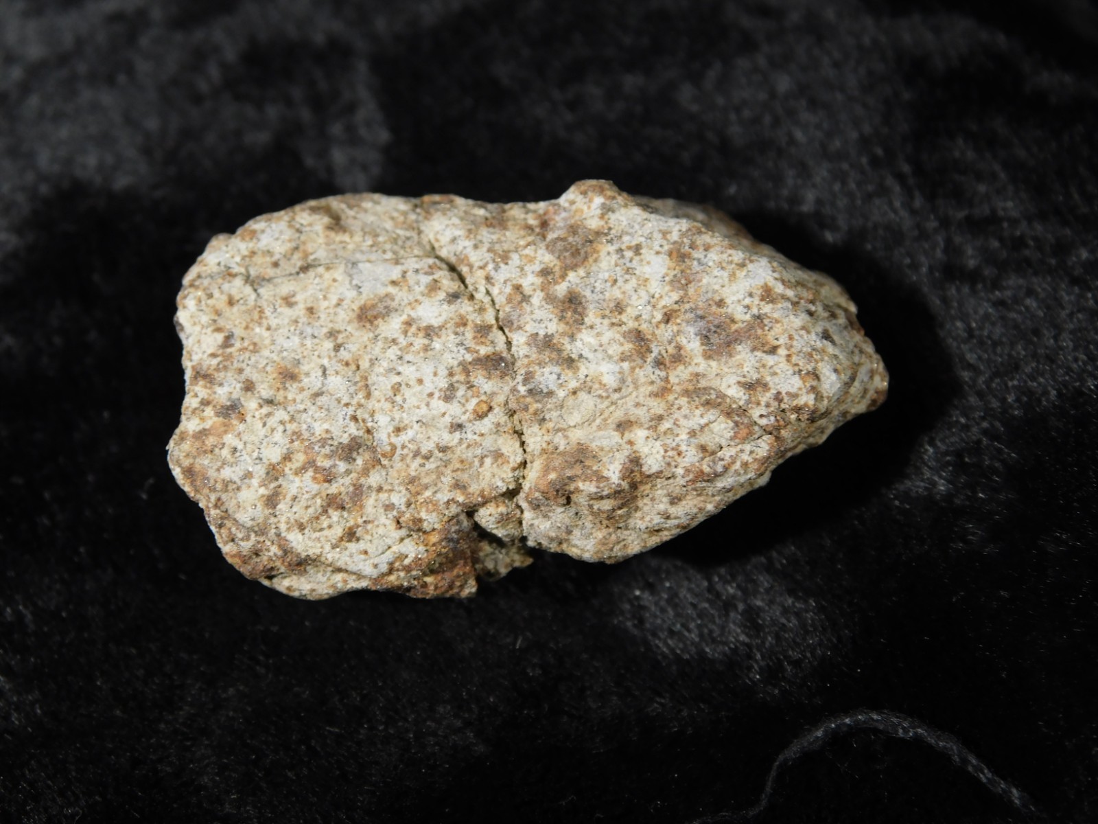 Classified NWA 8245 METEORITE Spots of Dark Fusion Crust! Erfoud, Morocco 21.0gr