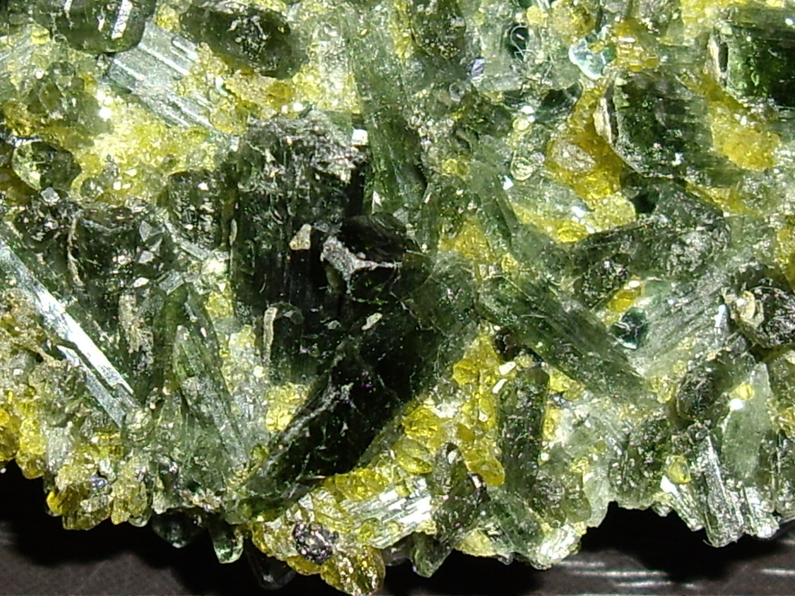 Awesome Magnetite, Vesuvianite, Garnet, and Diopside Crystals on Matrix 23.3g