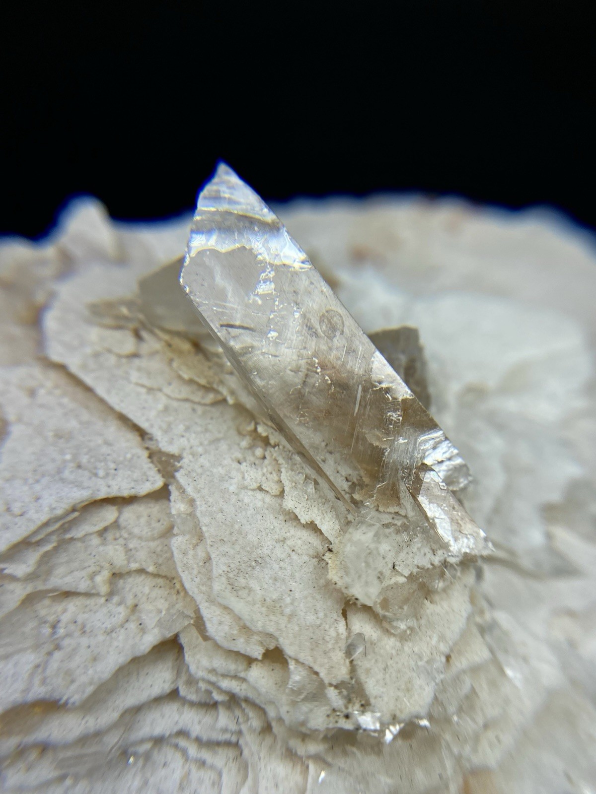 Selenite on Gypsum from Chihuahua, Mexico – Free Shipping