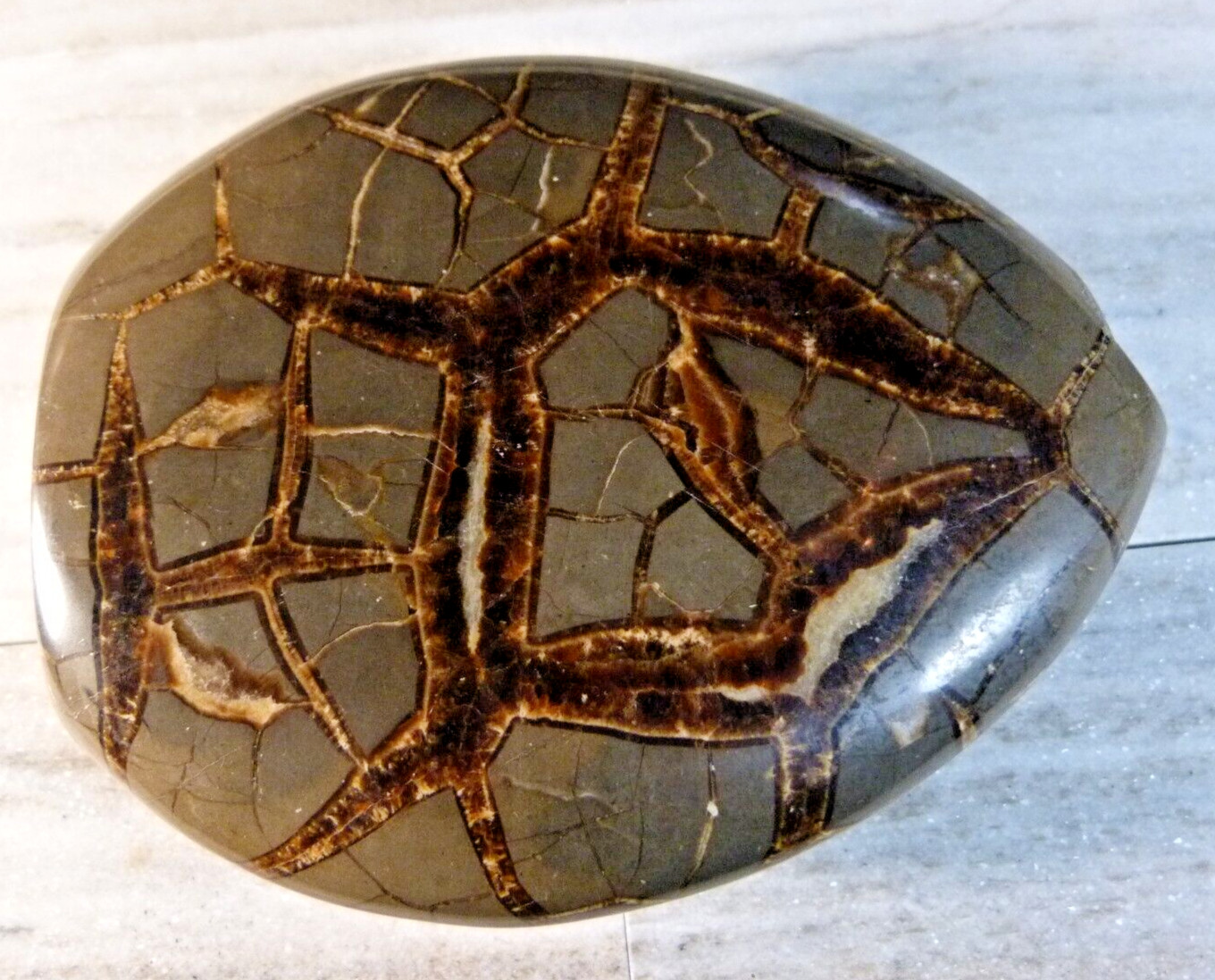 Natural Polished Septarian Geode Crystal 700g 5 1/4 Inches