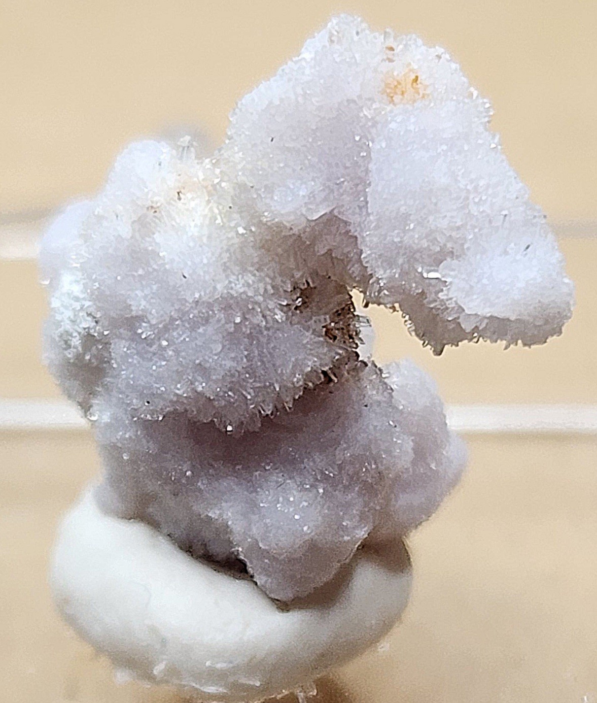 🌟ULTRA-REACTIVE LILAC CREEDITE FLOWER – Qinglong Mine, China🌟