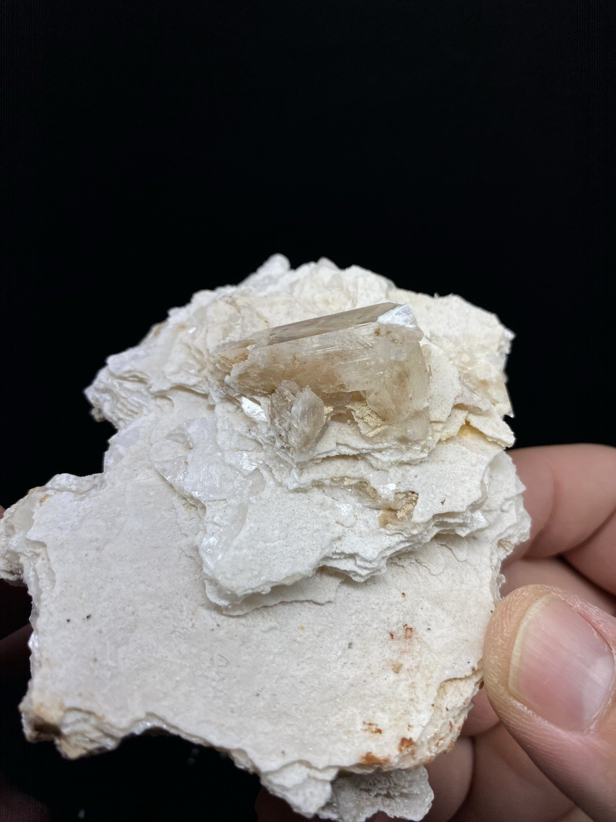 Selenite on Gypsum from Chihuahua, Mexico – Free Shipping