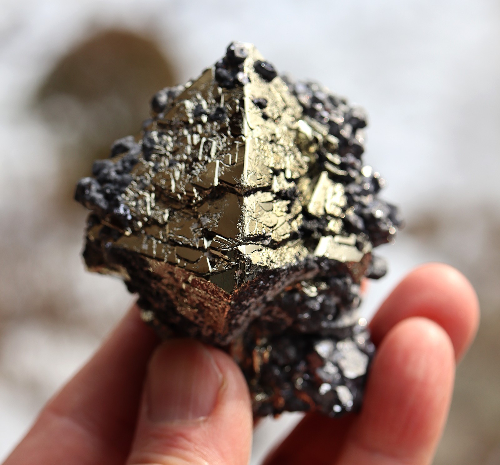 A perfect octahedron of pyrite with galena. No damage Huanzala mine Ancash, Peru