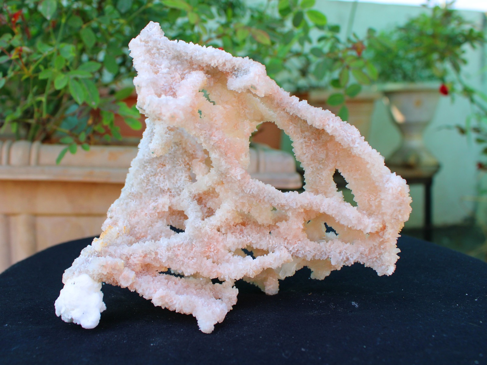 Apophyllite Crystals With Chalcedony Coral Minerals Specimen #A9