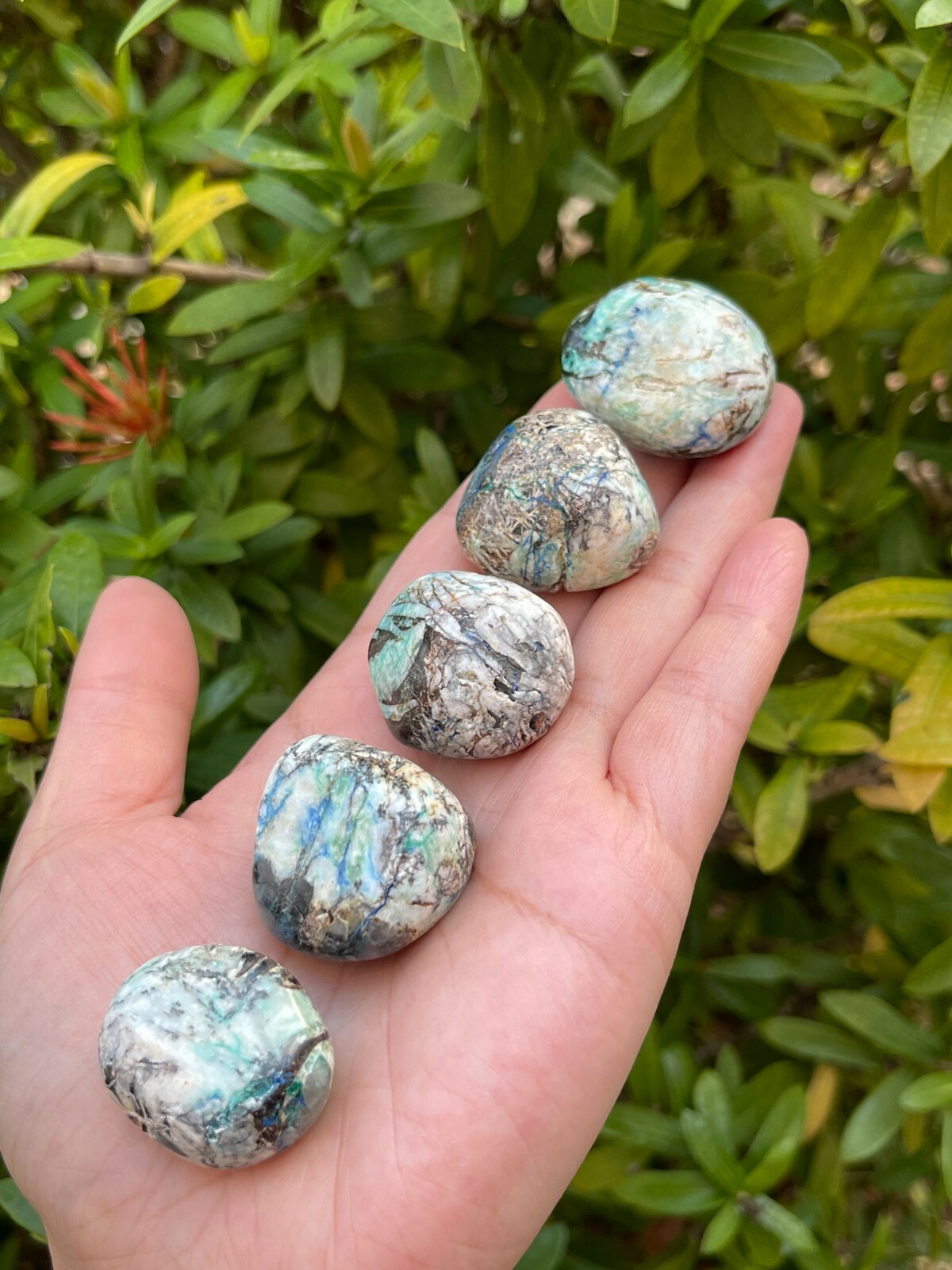 Grade A++ Azurite Malachite Tumbled Stones,0.75″-1.25″ Tumbled Azurite Malachite