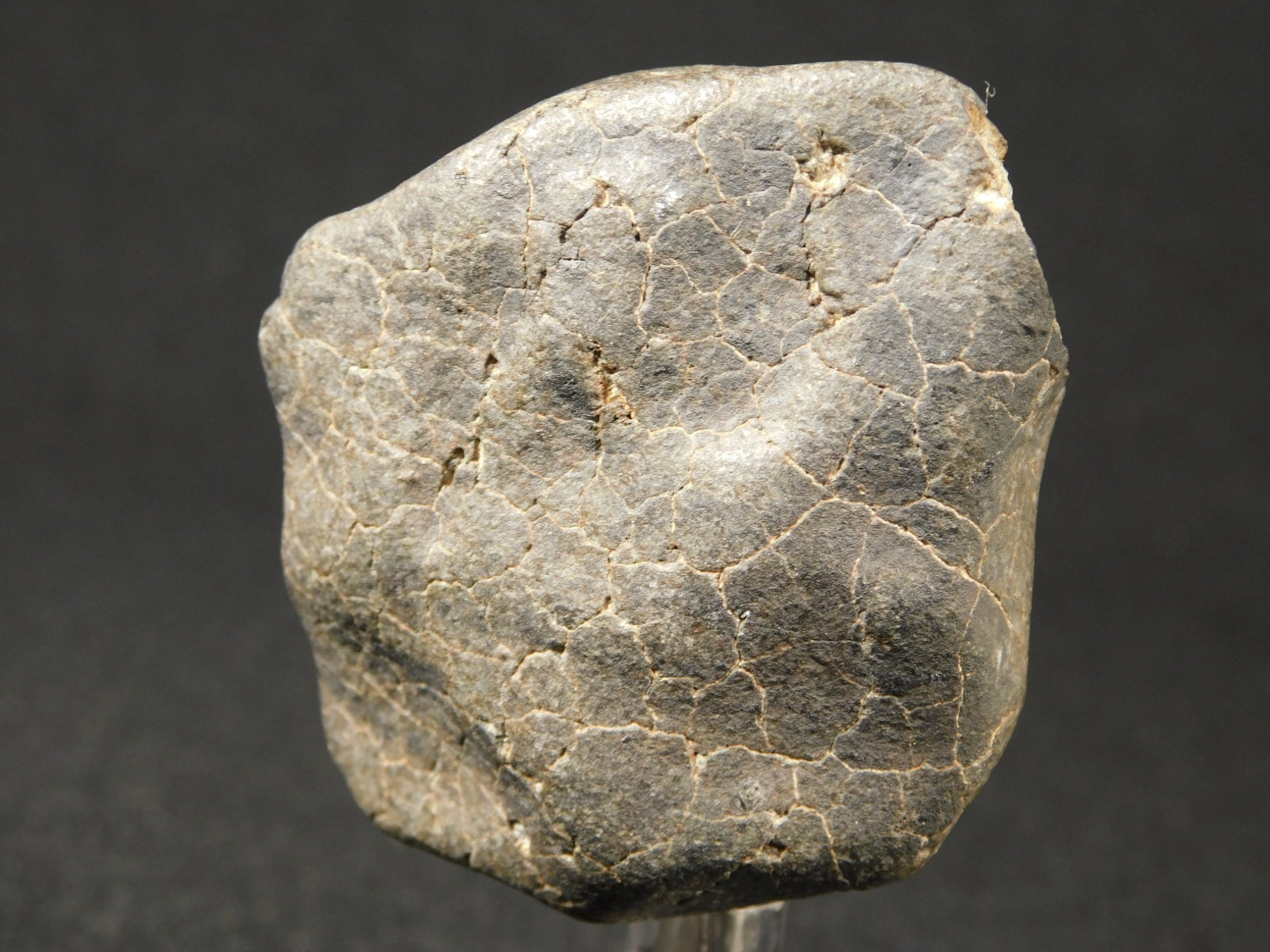 H6 Stony METEORITE Regmaglypts DARK Fusion Crust and Contraction CRACKS! 155gr