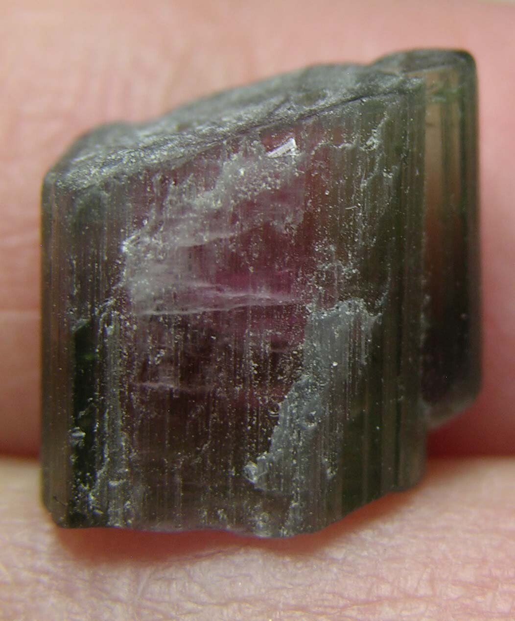 8.50ct Afghan 100%Natural Raw Watermelon Tourmaline Crystal Specimen 1.65g 11mm