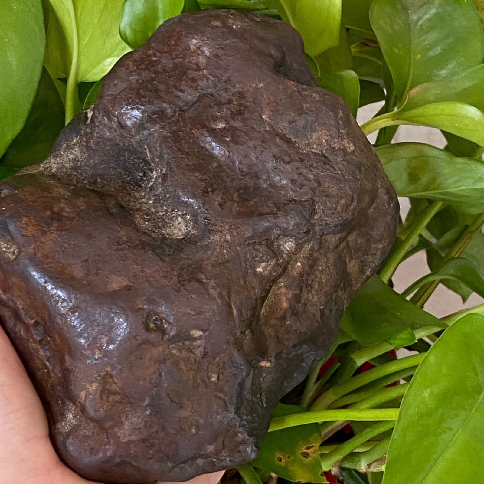 1357g Natural Iron Meteorite Specimen from China W380