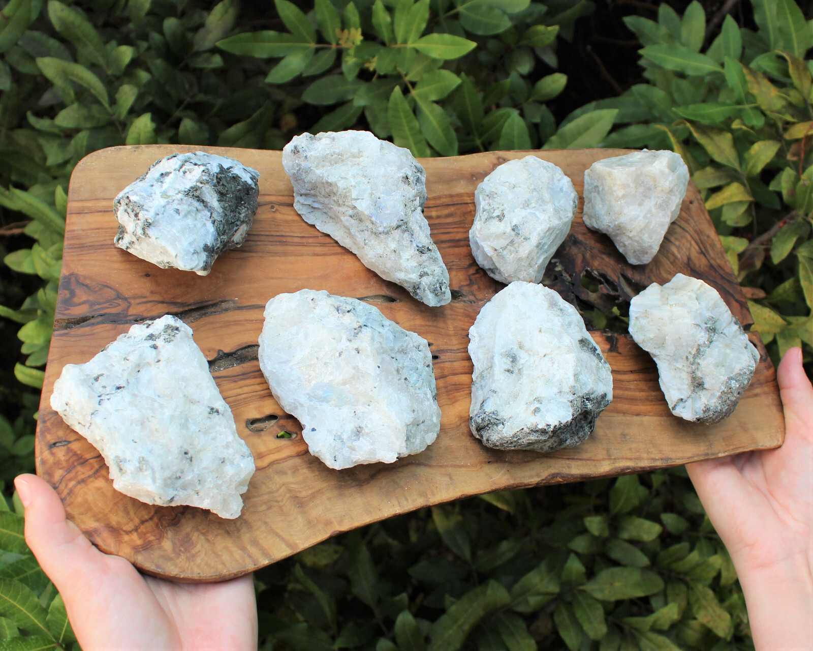 JUMBO Rainbow Moonstone Natural Raw Crystals – HUGE Rough Rainbow Moonstone