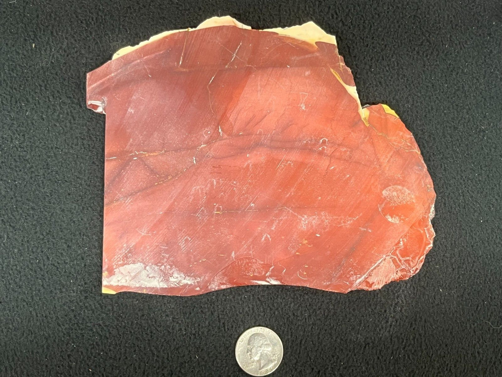 6-1/2″ x 5-1/8″ x 5/16″ Mookaite Jasper Slab Australia Red Cabbing Display