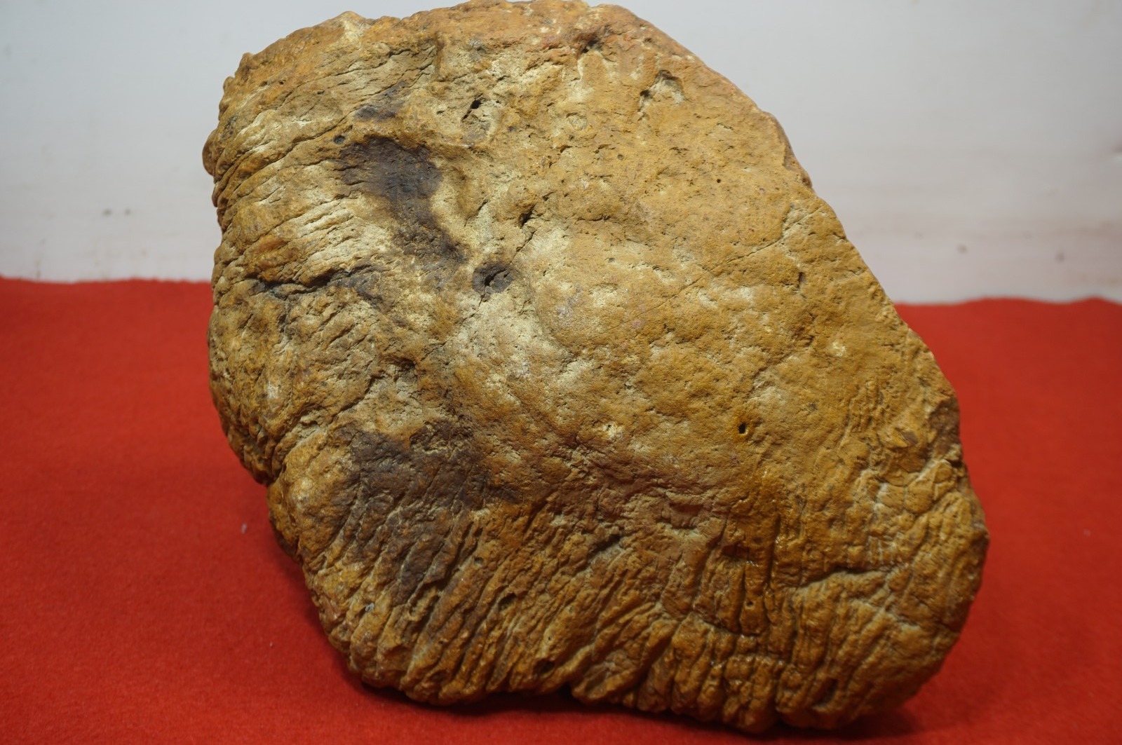 HUGE 30 Lbs. Kentucky Geode