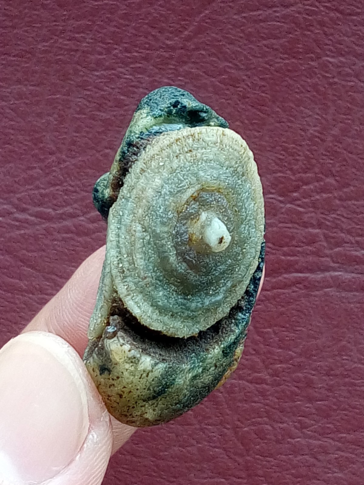 36mm Natural Gobi agate eye agate stone cute collection