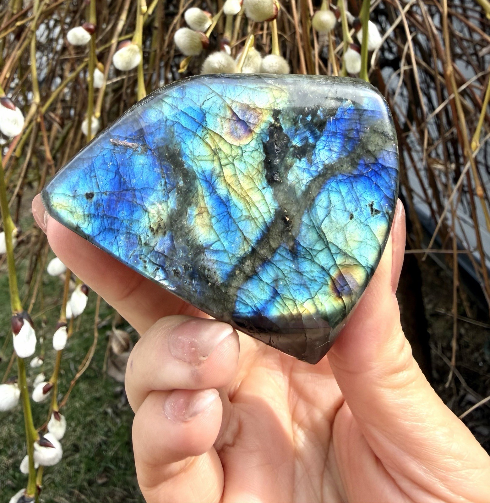Wholesale Lot 3 Lbs Natural Labradorite Freeform Crystal Healing Energy
