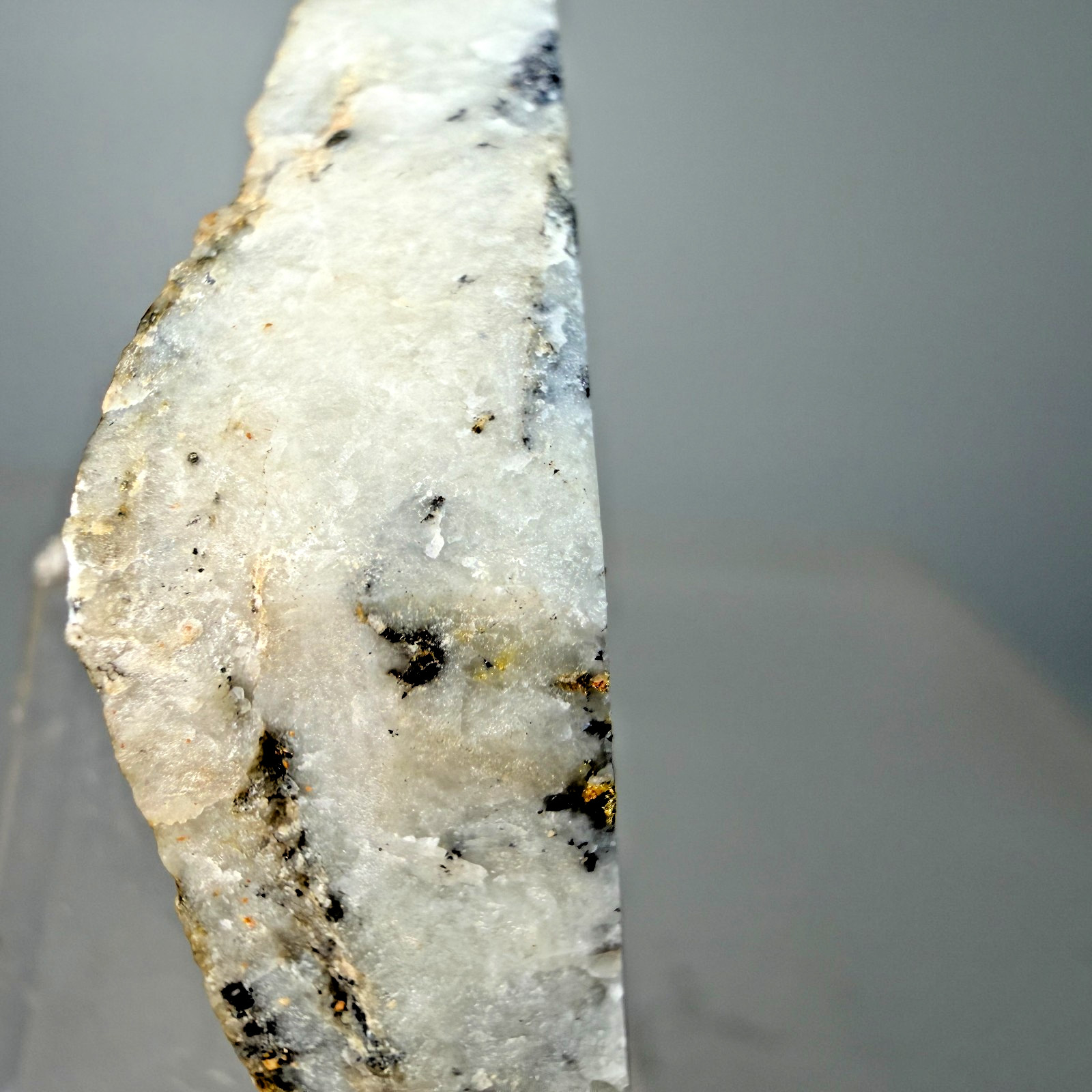 Native Gold in Quartz: Alma Mining District, Alma, Park County, Colorado- Rare!