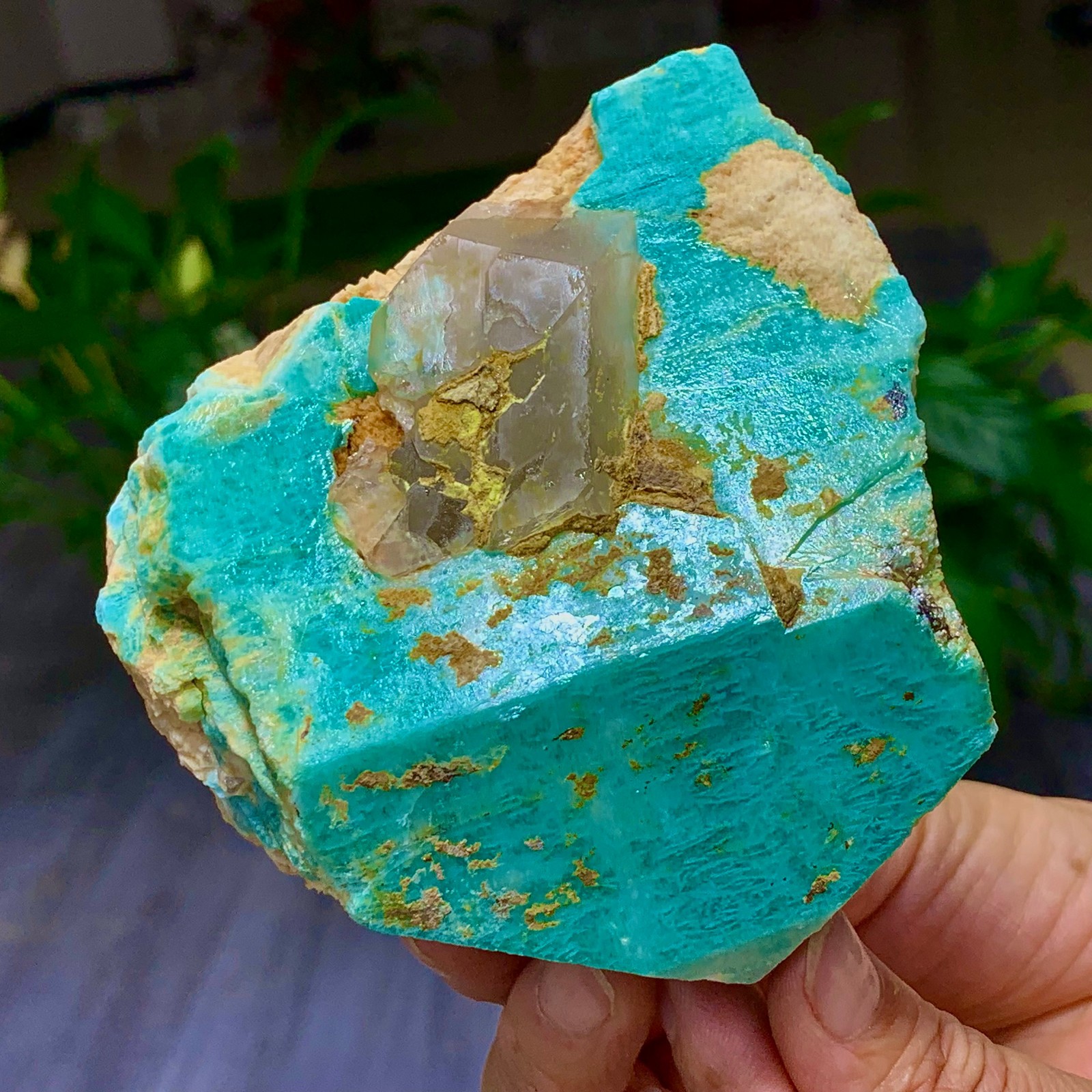 1.58LB Rare!! Natural beautiful Amazonite with Quartz Crystal Specimen Rough