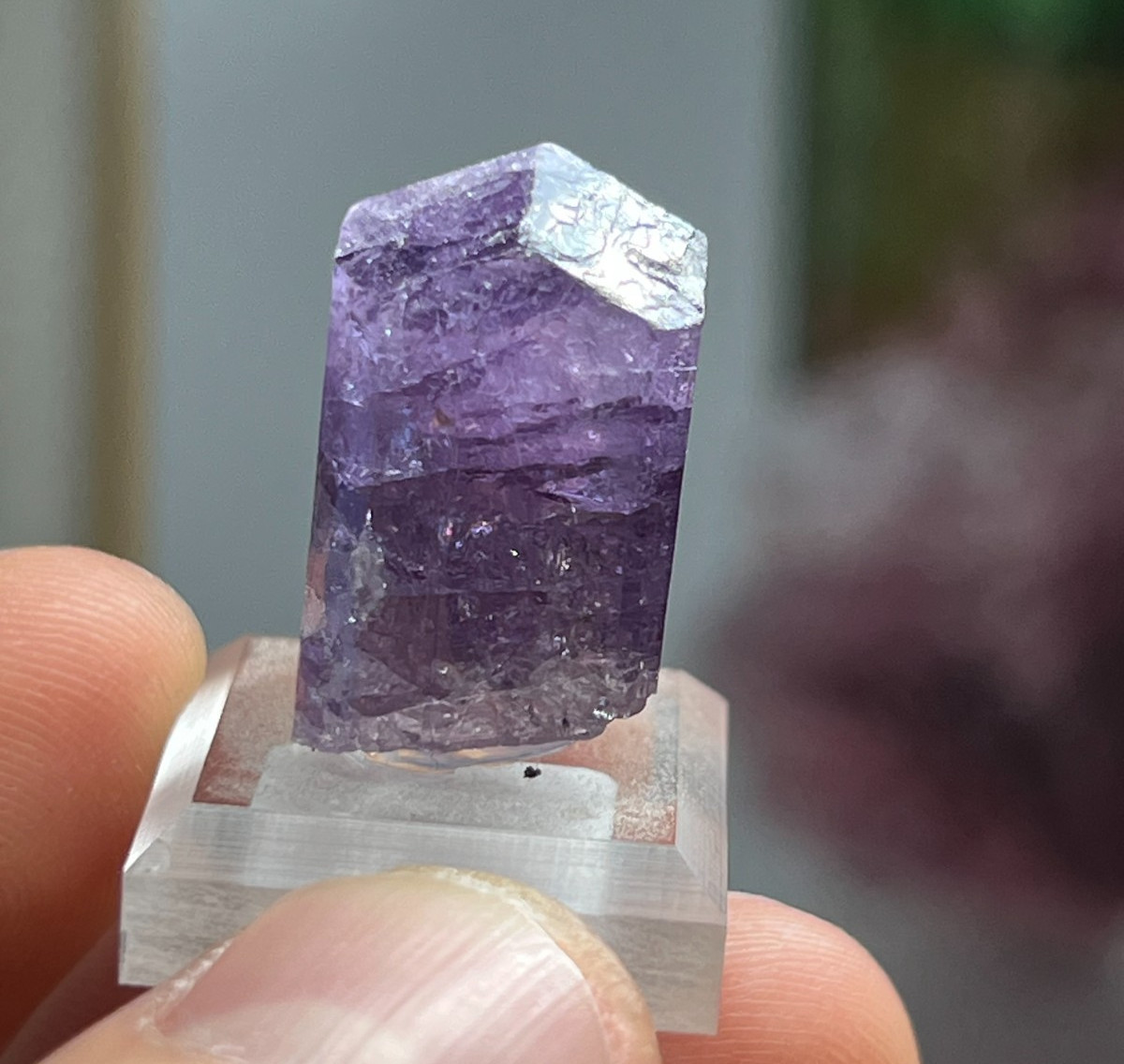 UV Reactive Purple SCAPOLITE Crystal *Gemmy* Mounted Thumbnail – Badakhshan