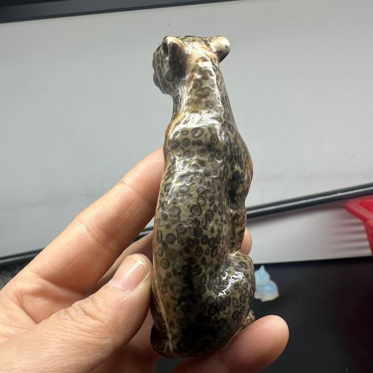 1pc Natural Money Leopard Stone Quartz Carved Leopard Skull Crystal Reiki Decor