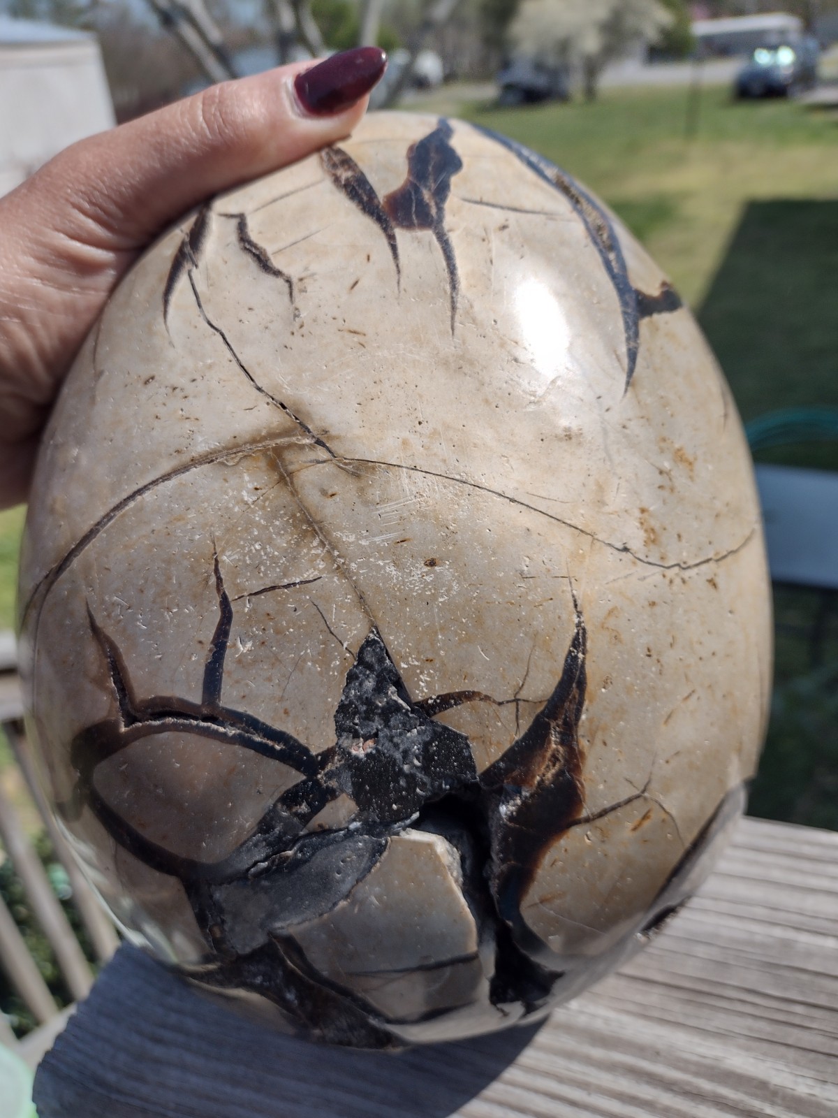 Huge Septarian Dragon Egg Over 15lbs Carving Crystal Stone Polished