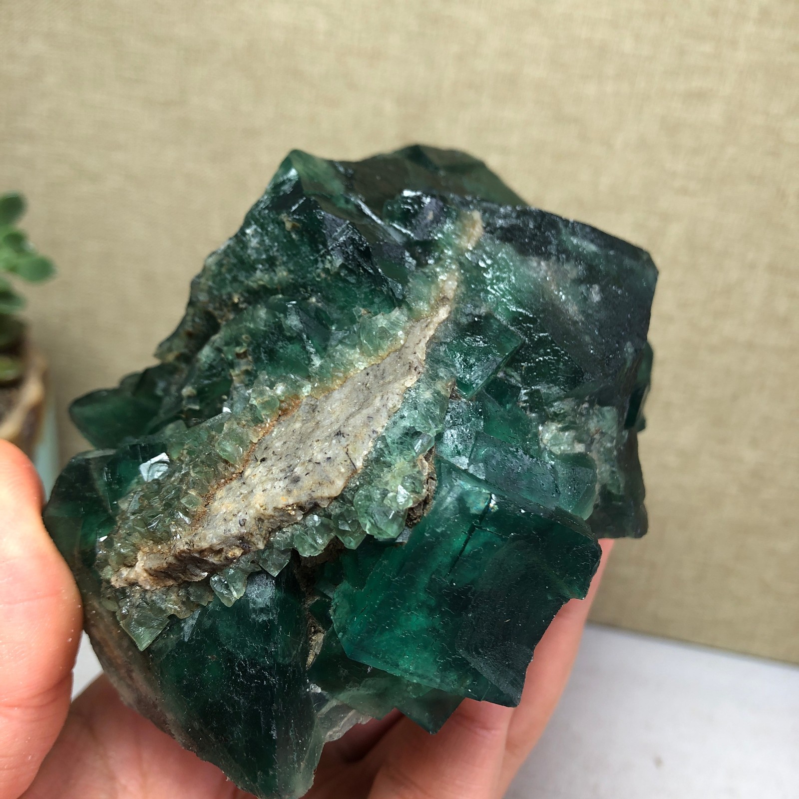 681g NATURAL Green Cubic FLUORITE Crystal Cluster Mineral Specimen A4721