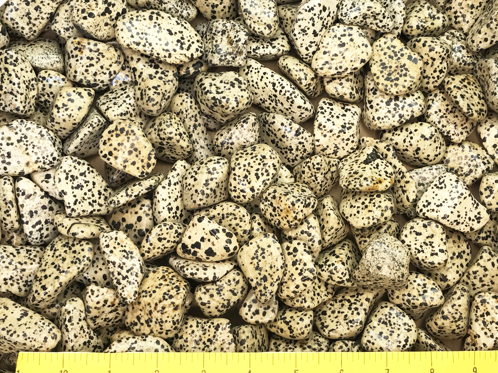 DALMATIAN STONE size XX-Large (1-7/8 to 2-1/2″) polished stones – 1 lb.