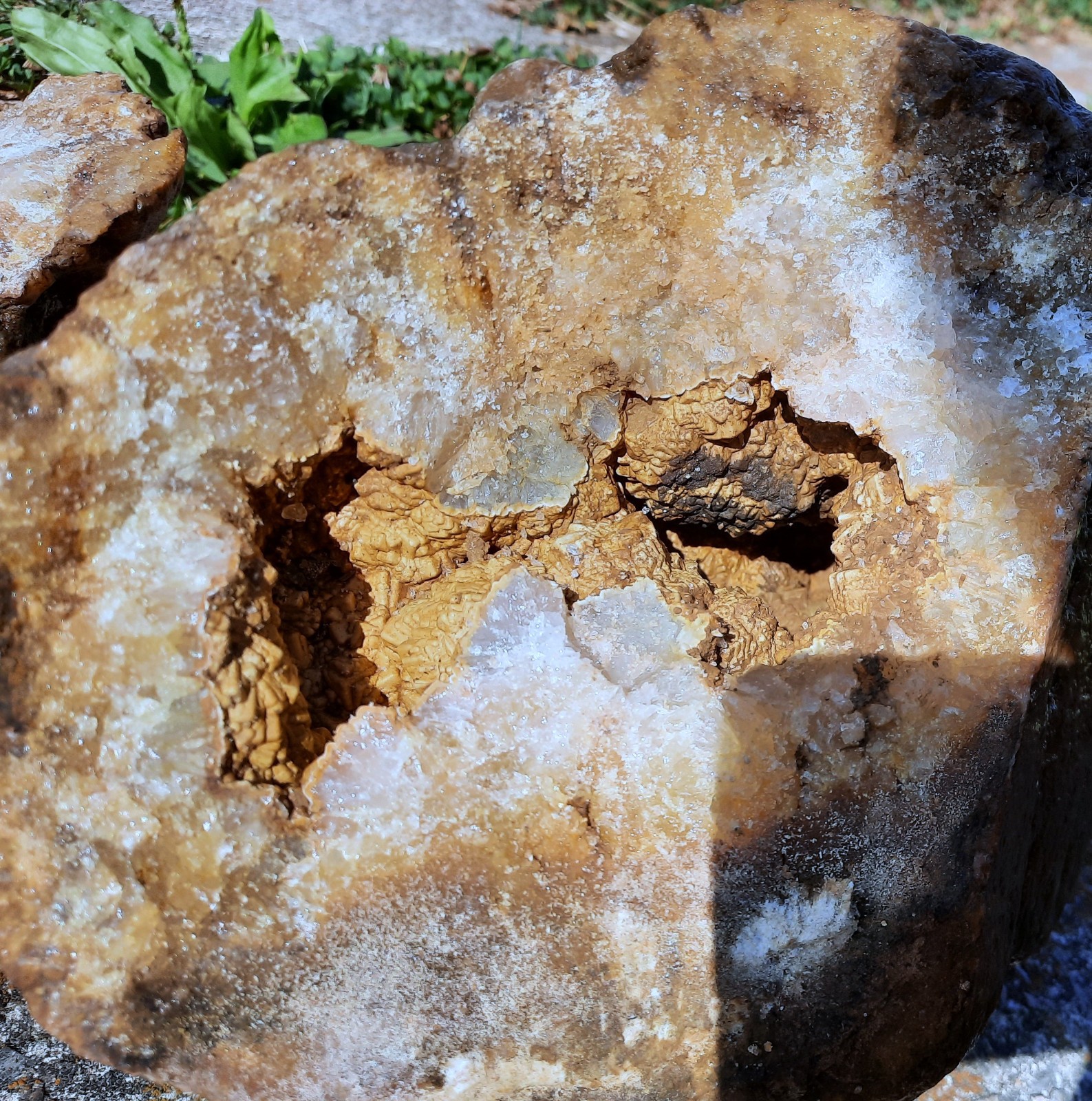 Giant Brown Calcite Geode with Crinoid Fossils. Southern KY. 9X8X8″, 17.2 LBS