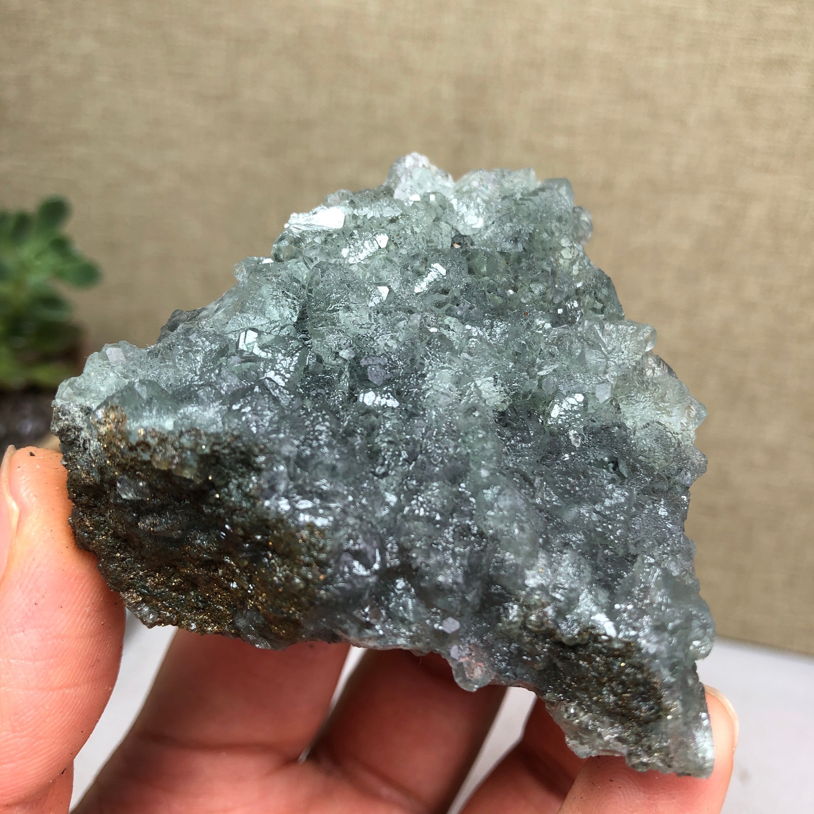 78g NATURAL Green Cubic FLUORITE Crystal Cluster Mineral Specimen A4734