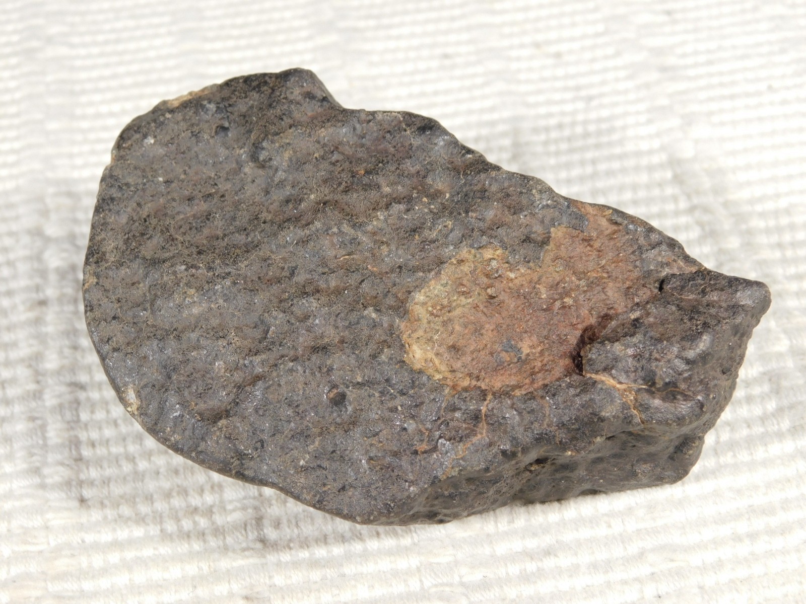 wOw! Larger! Stony METEORITE with DARK Silky Fusion Crust! FELL in Libya 219gr