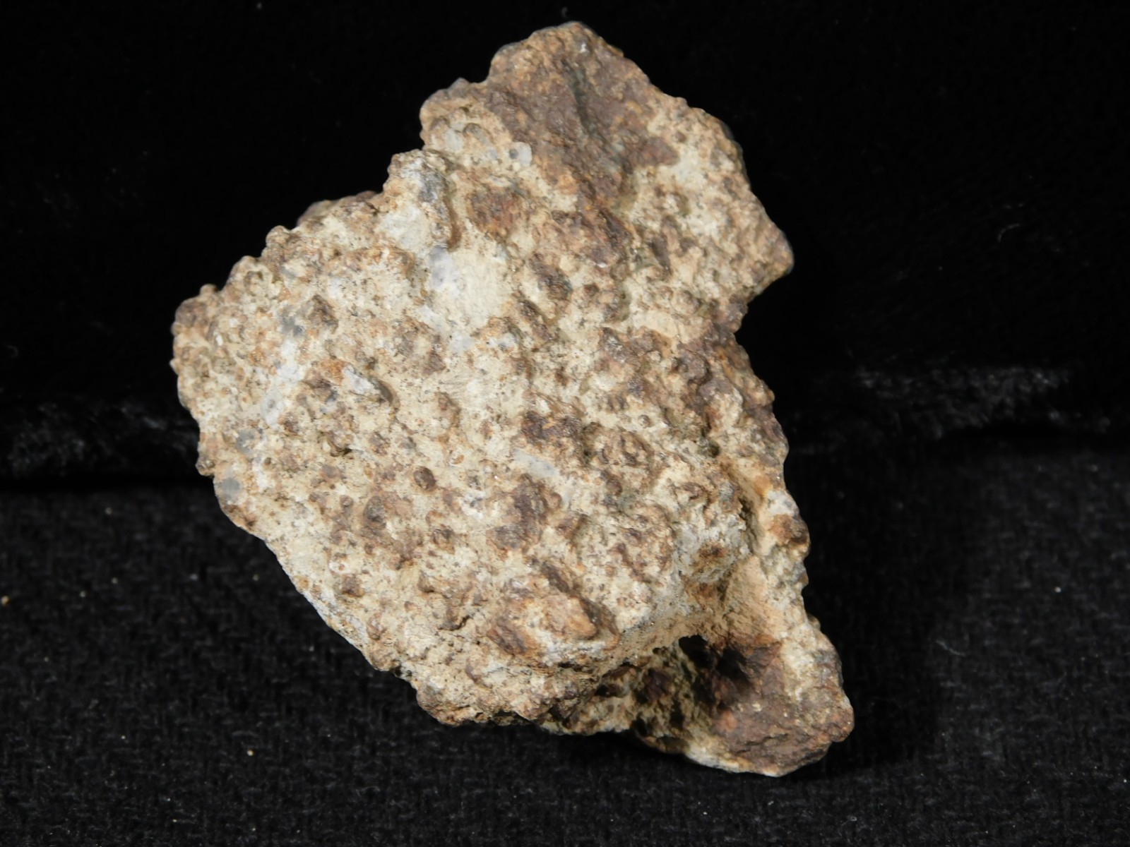 Classified NWA 8245 METEORITE 100% Natural FELL on Erfoud, Morocco 47.3gr