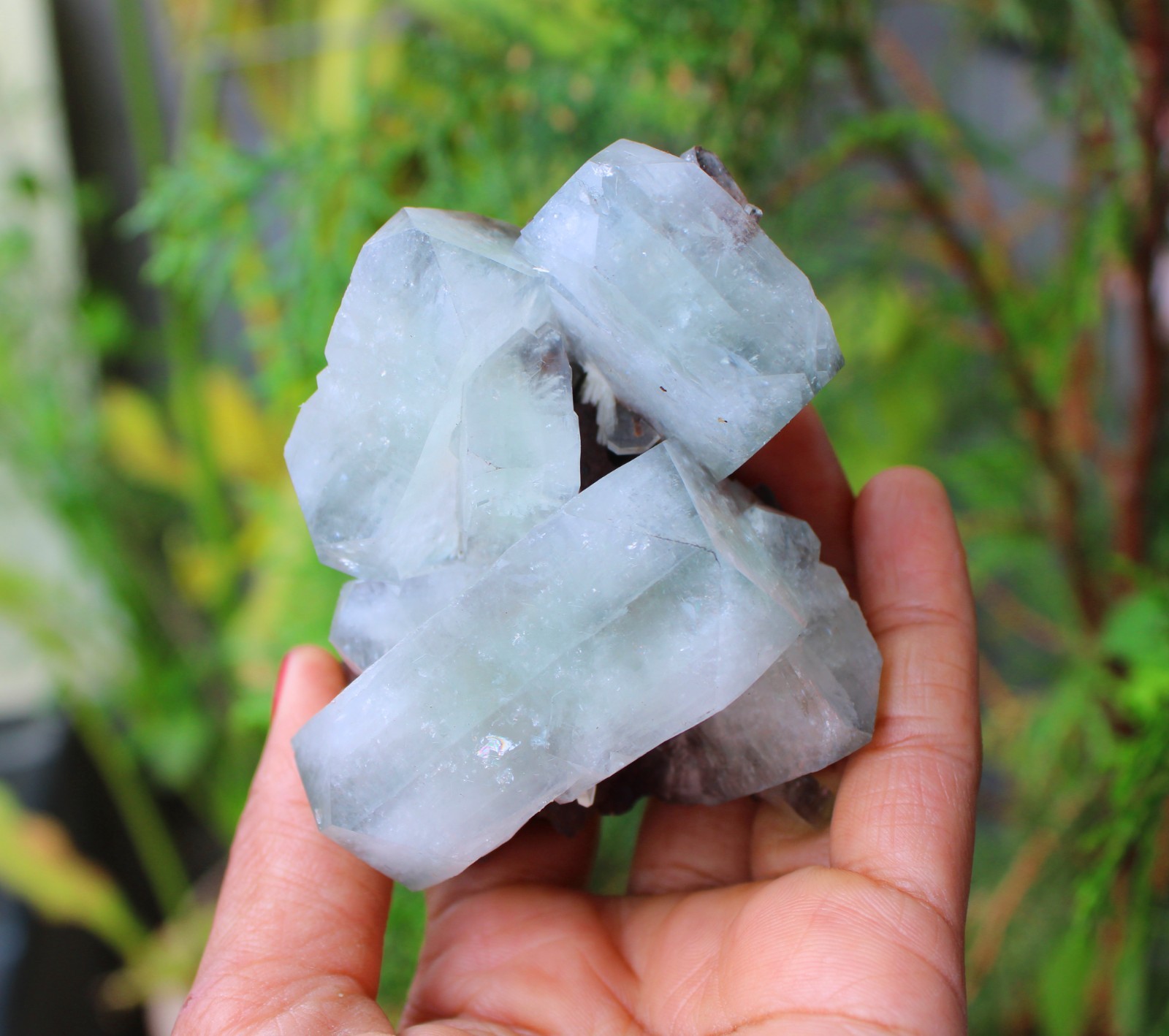GREEN APOPHYLLITE CRYSTALS MINERALS SPECIMEN