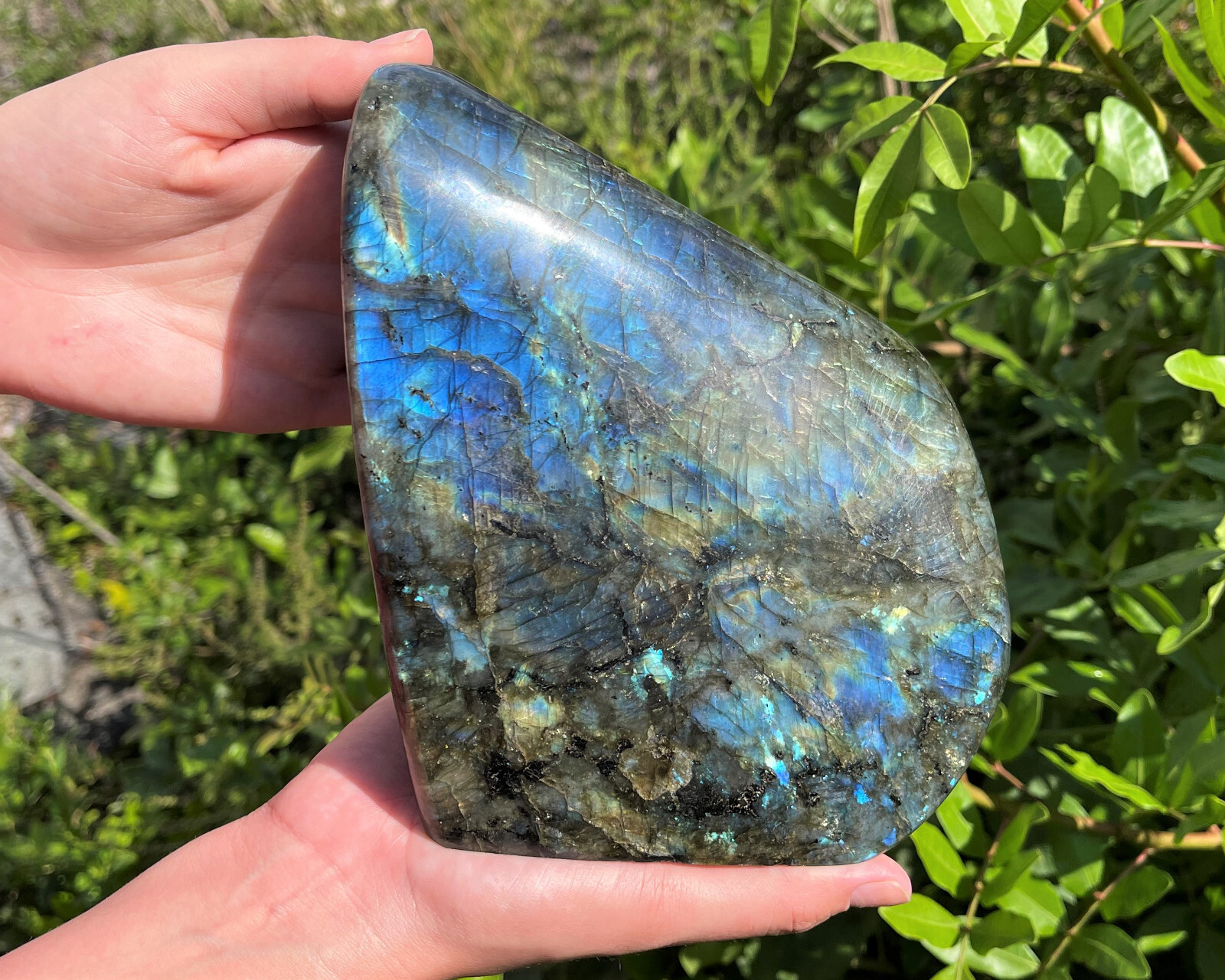 JUMBO Polished Labradorite Freeform: High Flash Free Standing Crystal Specimens