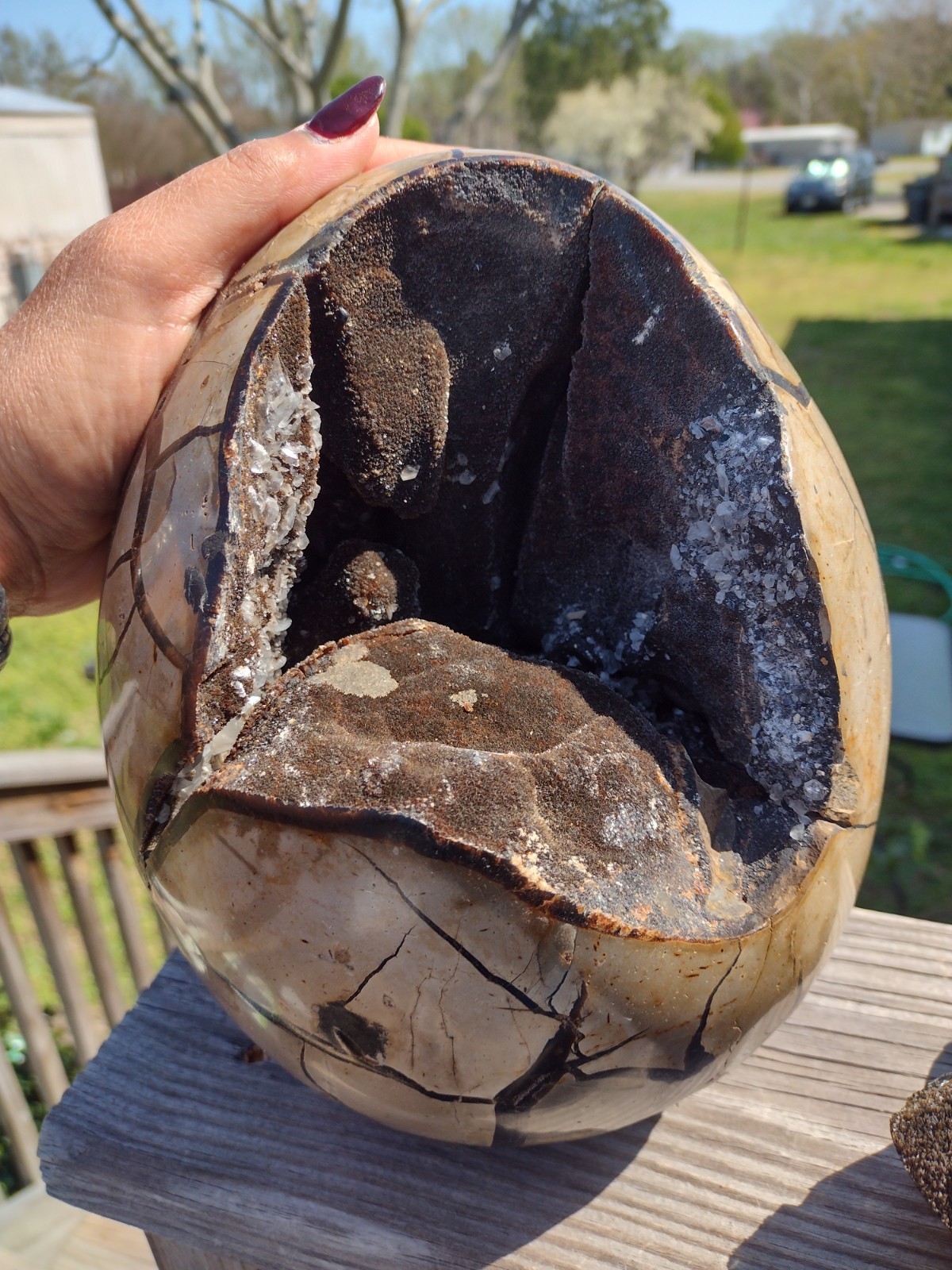Huge Septarian Dragon Egg Over 15lbs Carving Crystal Stone Polished