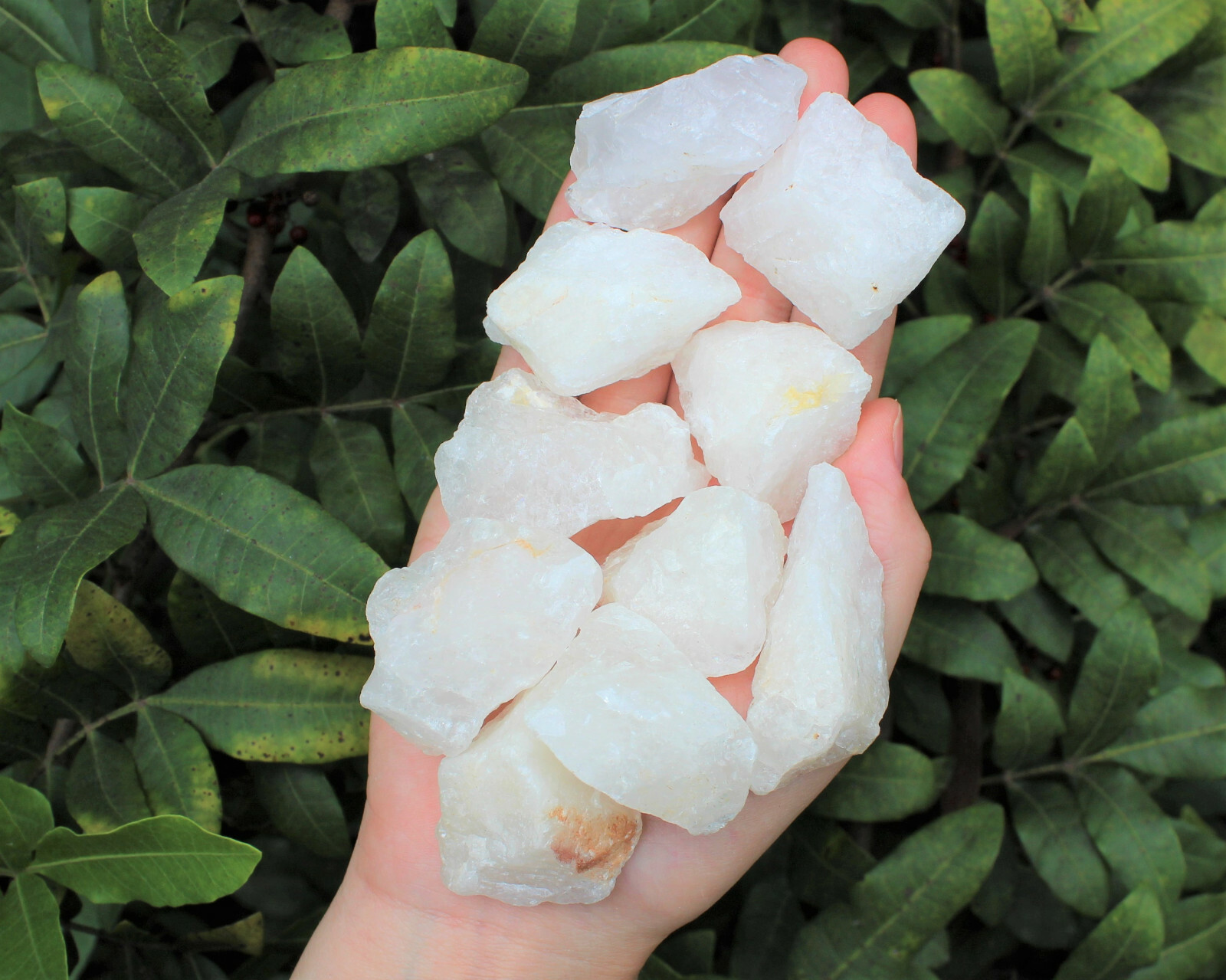 1/2 lb Bulk Lot Natural Rough Clear Quartz Crystals (Raw Gemstone Healing 8 oz)