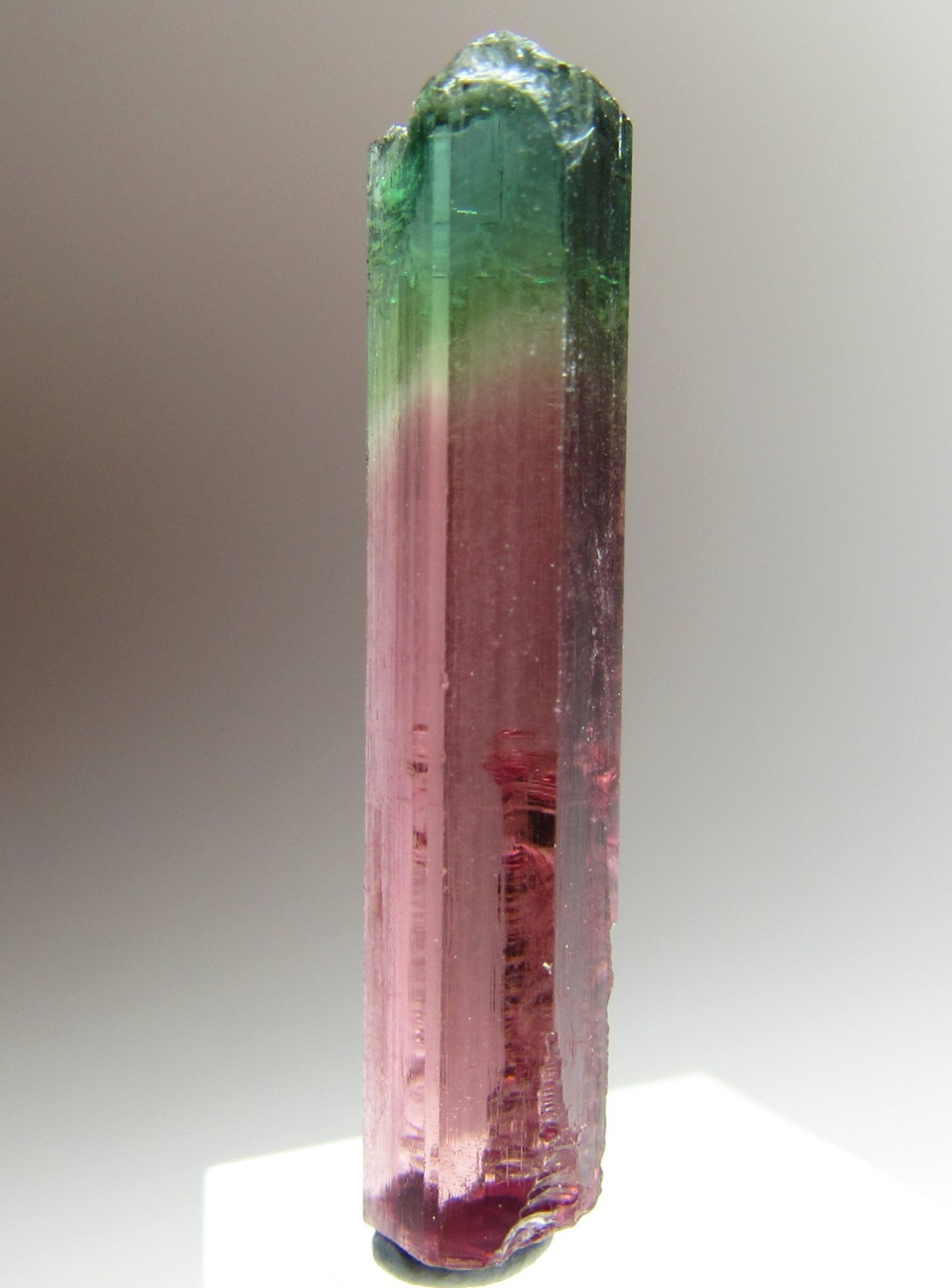 PHENOMENAL RARE FACET GRADE GEM TOURMALINE CRYSTAL!!! MORRO REDONDO BRAZIL