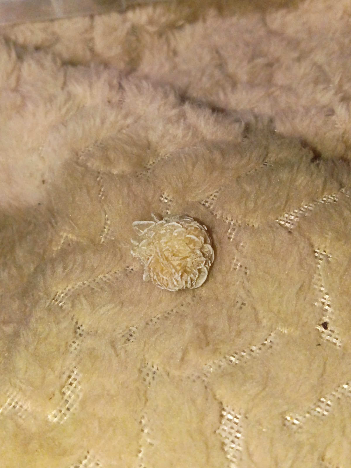 Desert Rose Selenite Gypsum Crystal Cluster Specimen, Rosette-Shaped