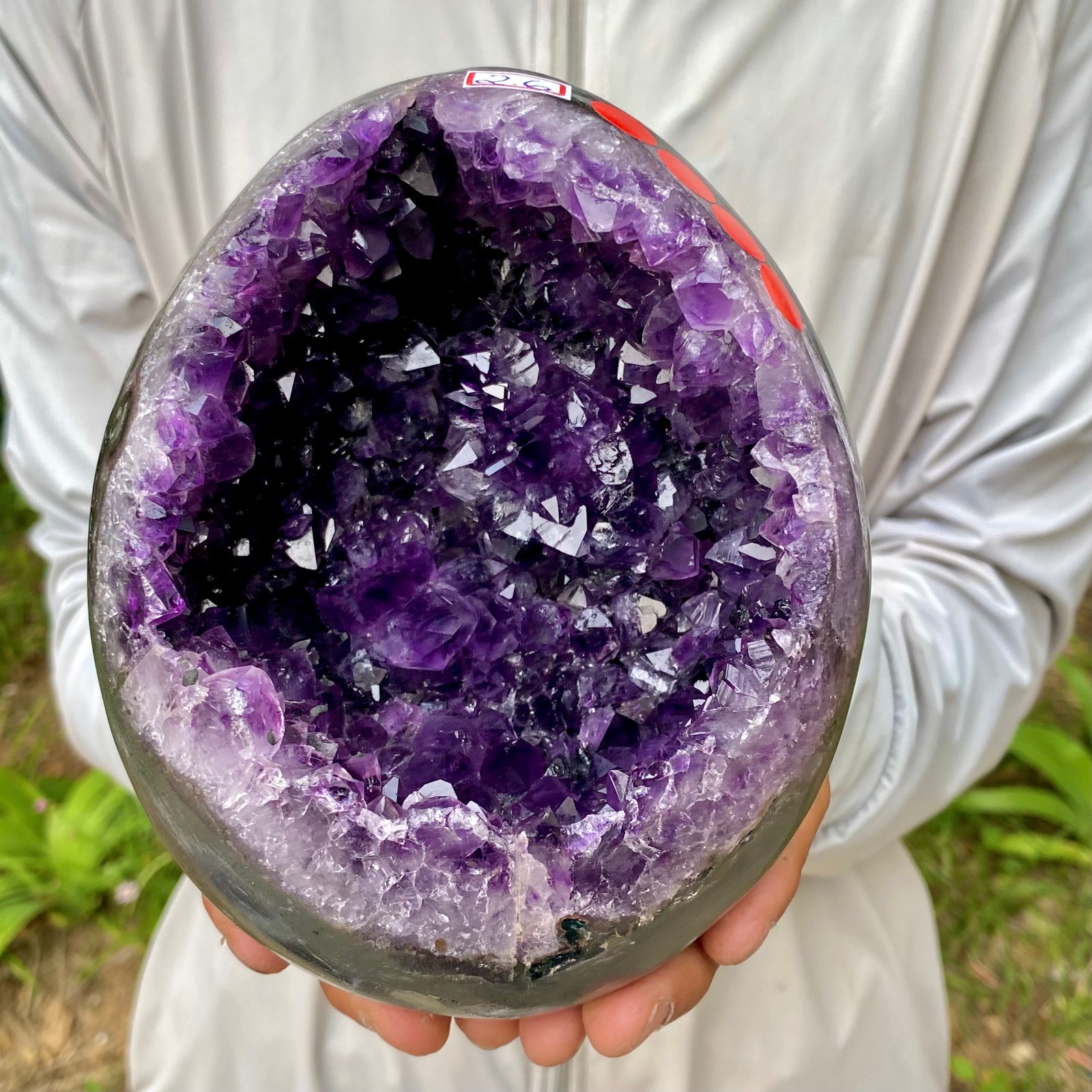 5.7LB Natural amethyst Dinosaur egg Quartz Crystal specimen healing