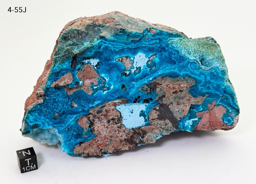 Drusy Chrysocolla w/ Silica – Ray Mine AZ – Rare Museum Grade – Large 5.25 @