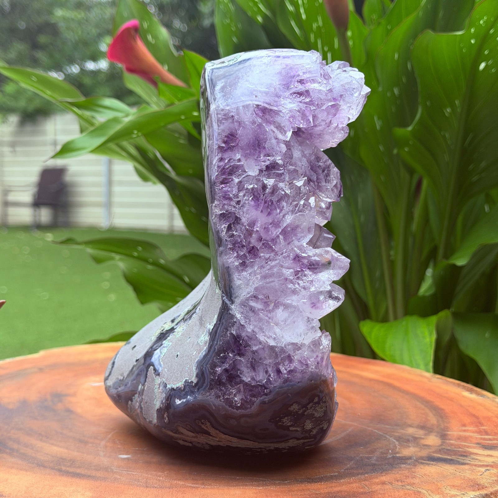 Massive Museum Grade Amethyst Geode Specimen 3.49kg Serra do Sol Brazil