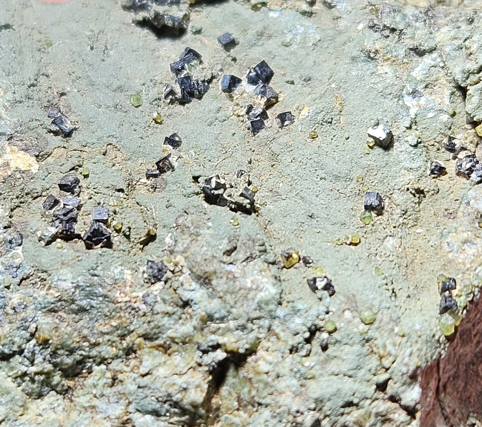 Cubic Magnetite Rare Form San Benito County California Mineral Specimen