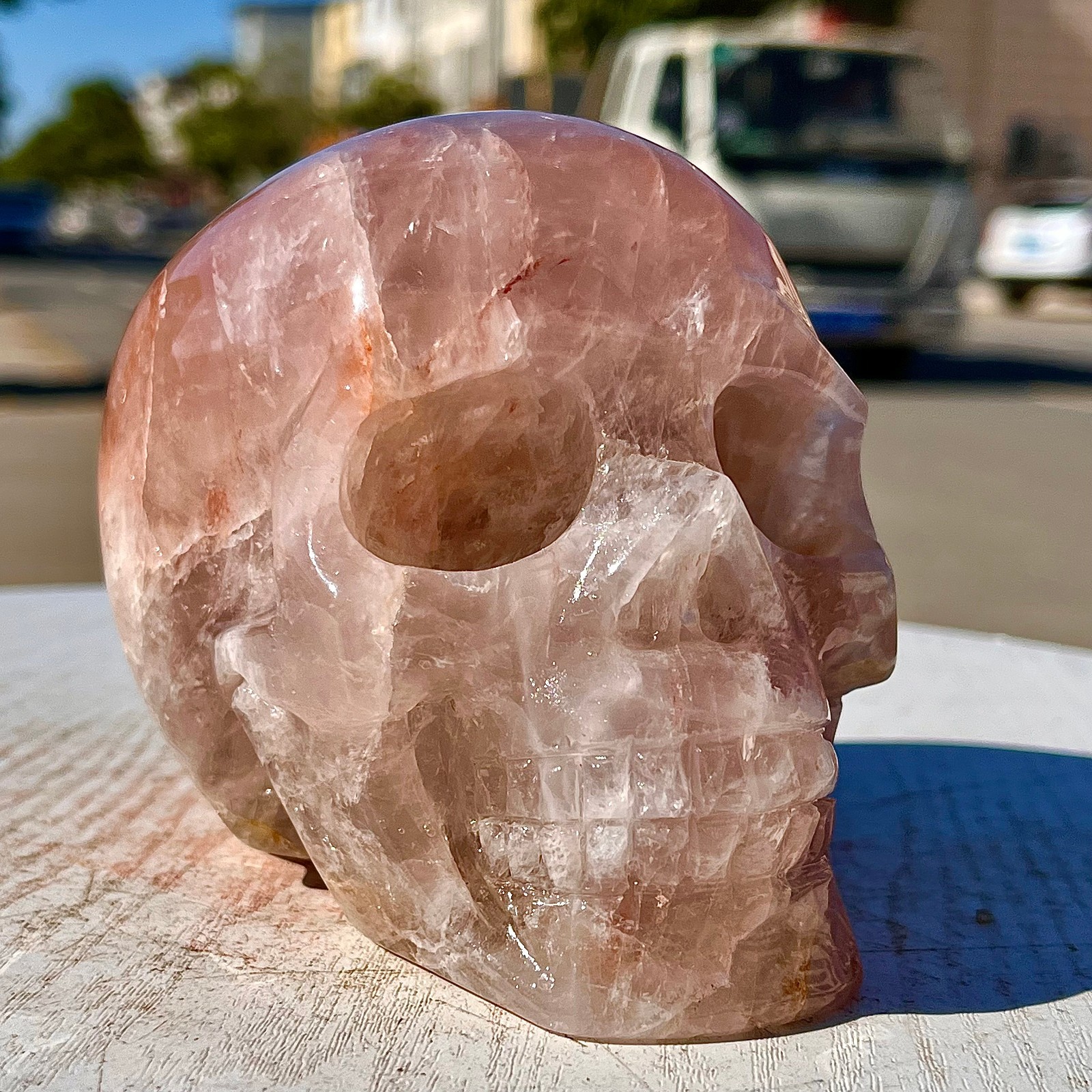 2.71LB Natural dreamy red gum flower skull hand carved skull healing
