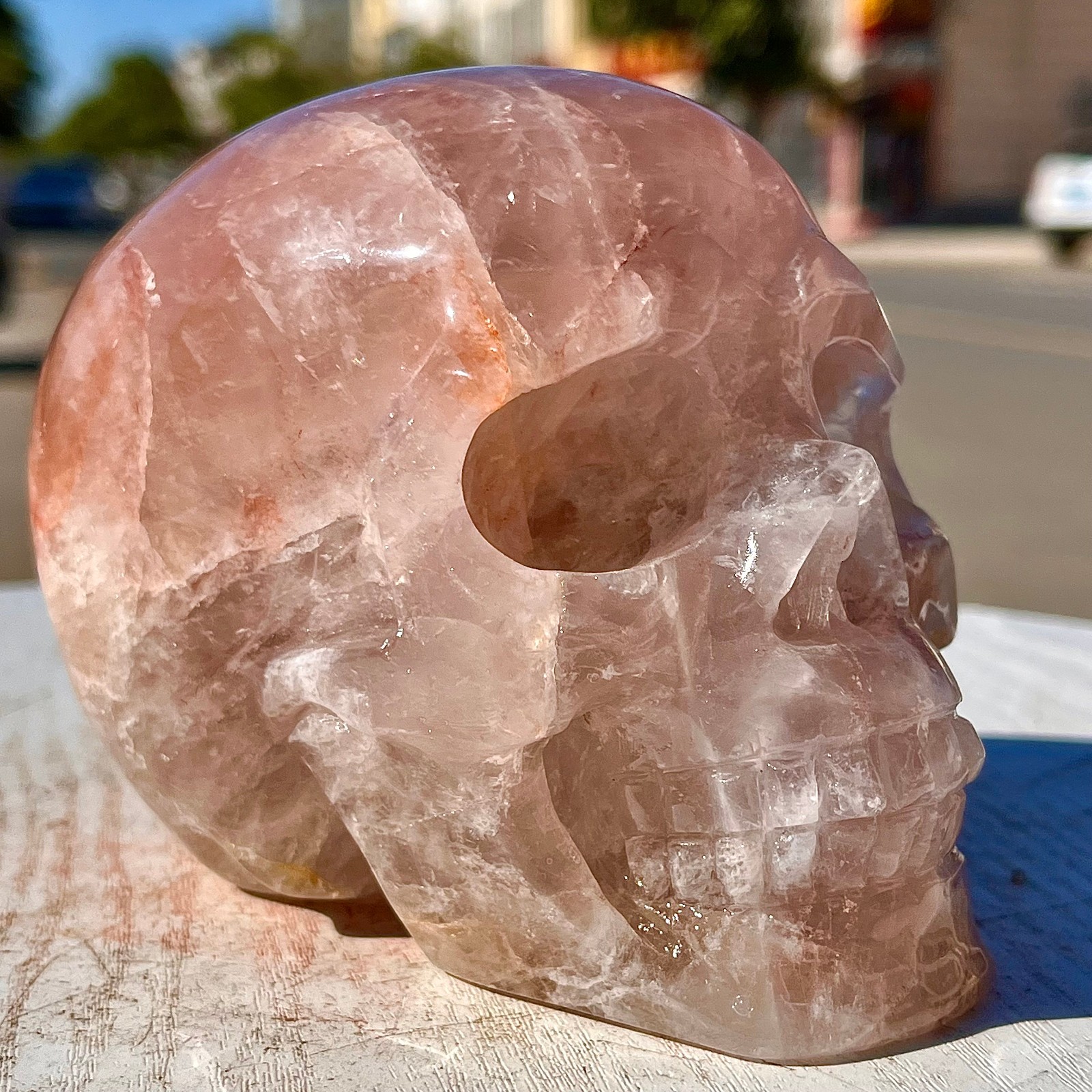 2.71LB Natural dreamy red gum flower skull hand carved skull healing