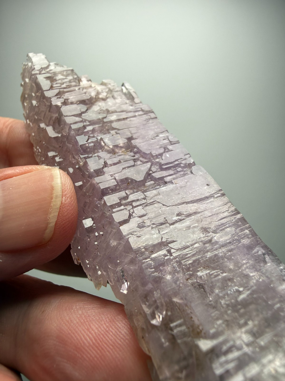 AMAZING Jacare Amethyst- Buridan’s Mule Claim, New Mexico- RARE PIECE!