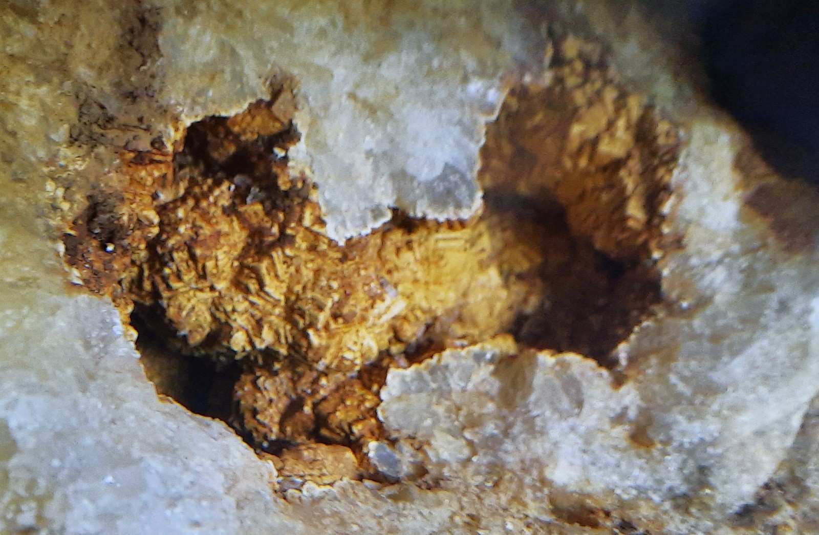 Giant Brown Calcite Geode with Crinoid Fossils. Southern KY. 9X8X8″, 17.2 LBS