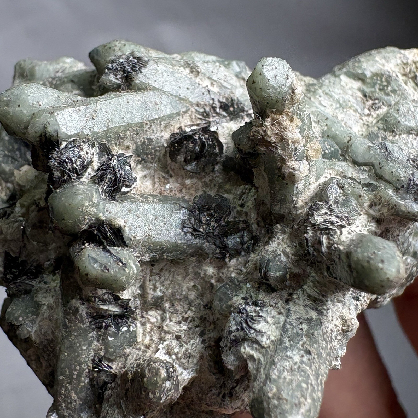 Natural Forest Crystal Green Quartz Cluster Rare Specimen Raw Mineral Heal