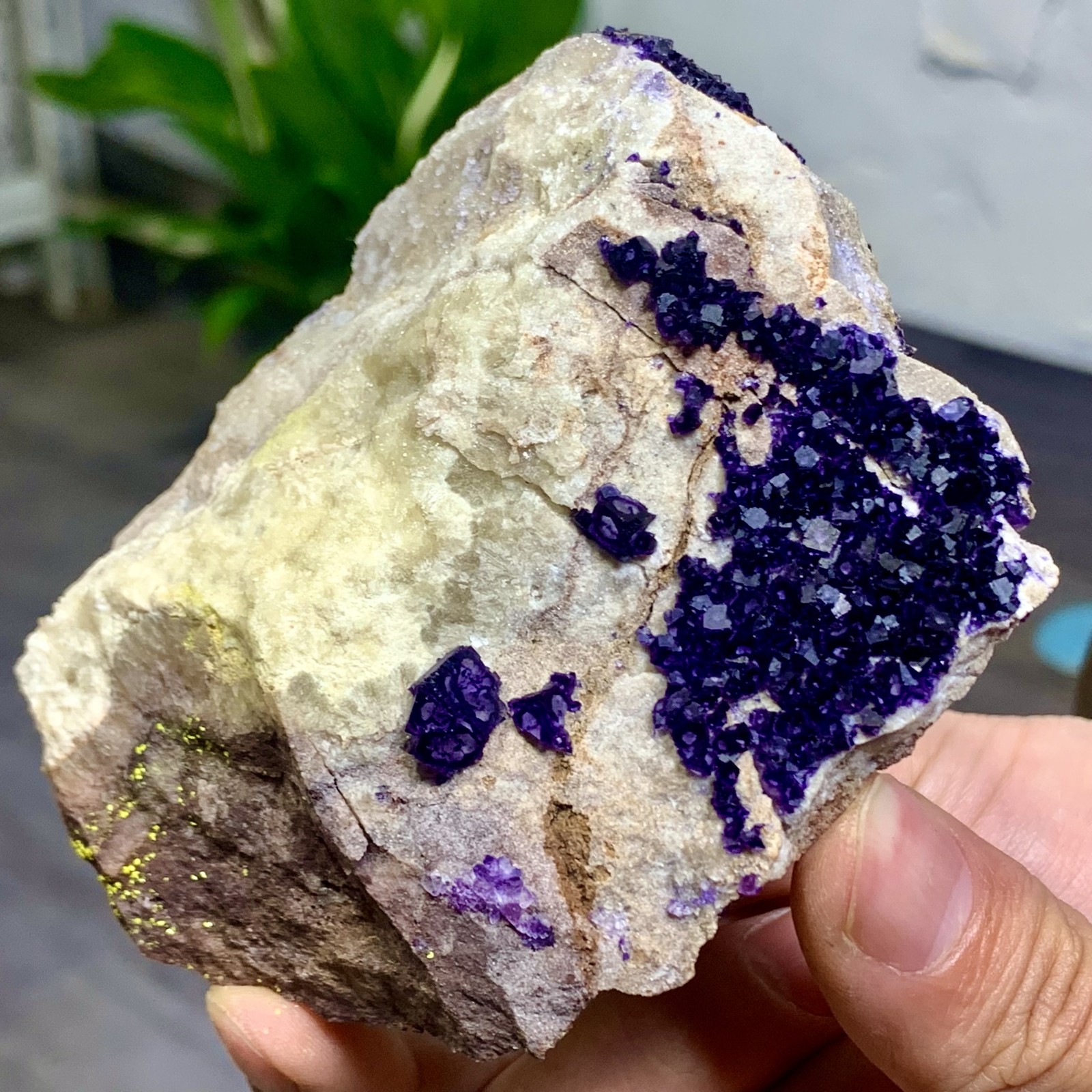 248G Rare transparent purple cubic fluorite mineral crystal sample/China