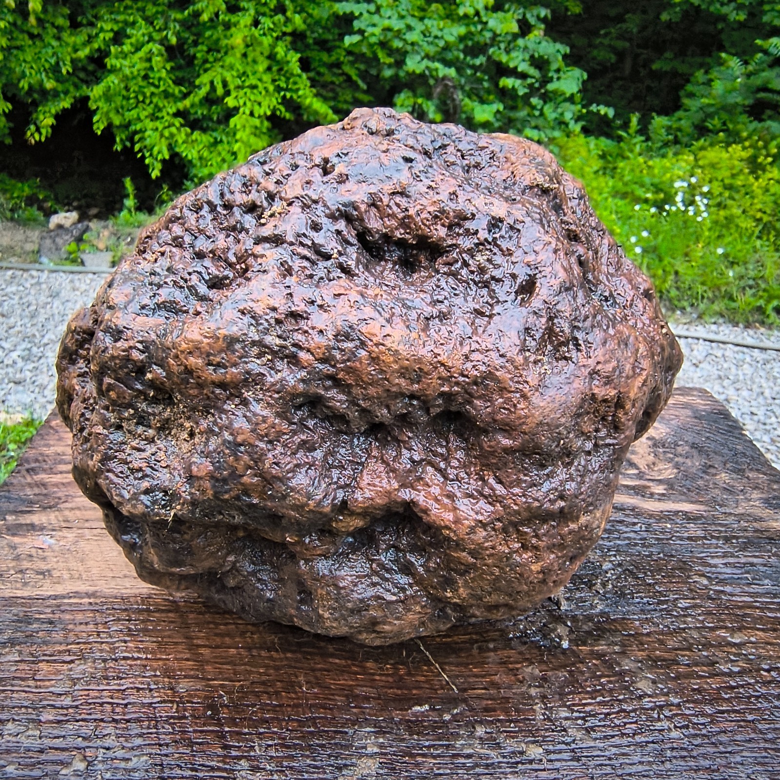 HUGE 16.67 LB Kentucky Geode 24″ Circumference Uncracked Potential Hollow Rock