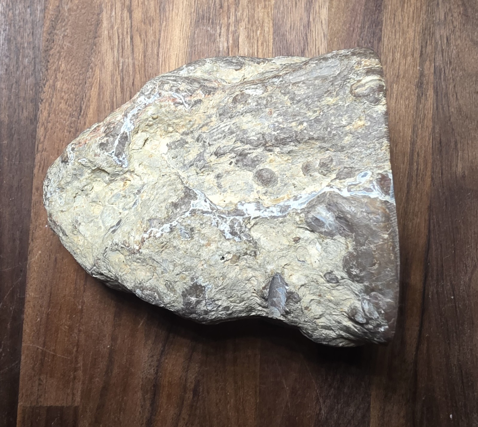 Impressive Large Kentucky Agate Display Specimen with Sugar Druzy Interior#S-27
