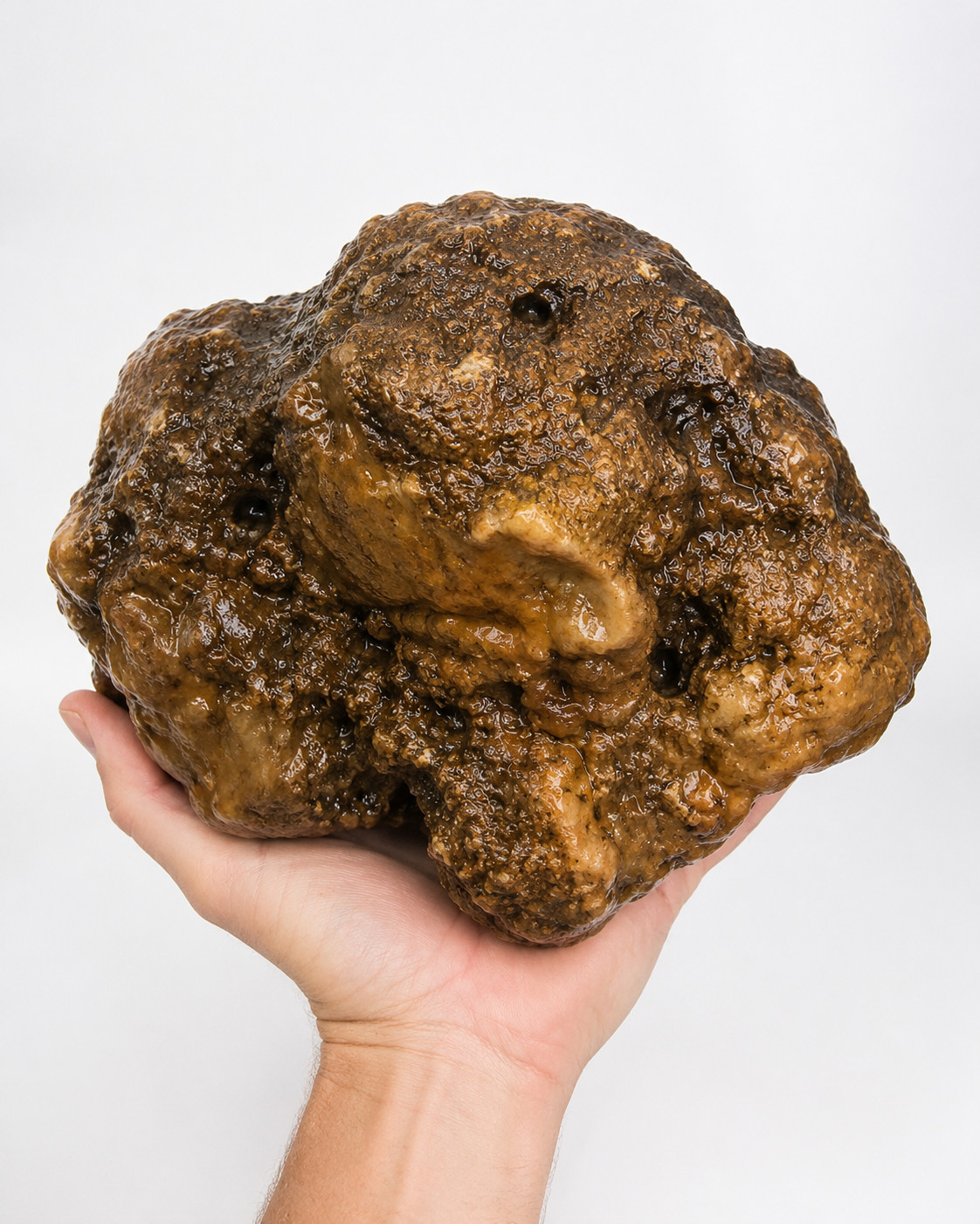 7.06 lb Kentucky Geode Unopened Large Natural Crystal Geode 8″ Feels Hollow