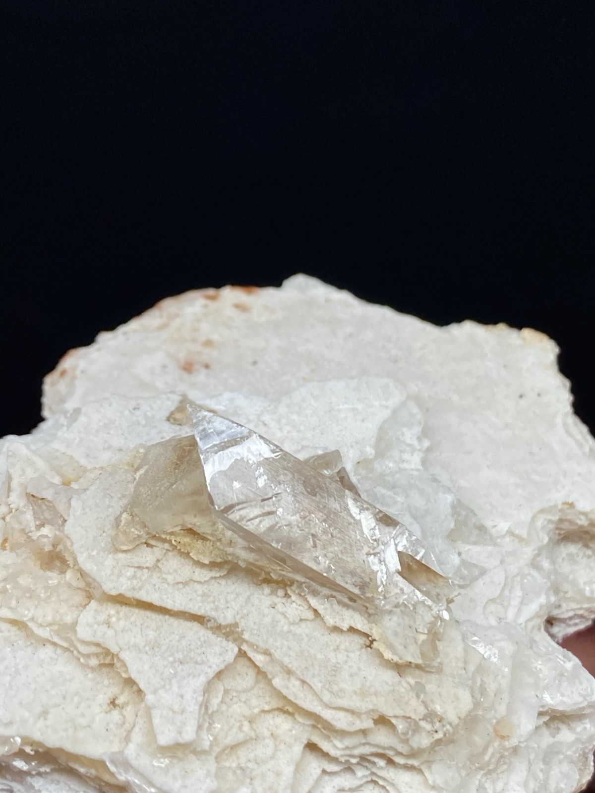 Selenite on Gypsum from Chihuahua, Mexico – Free Shipping