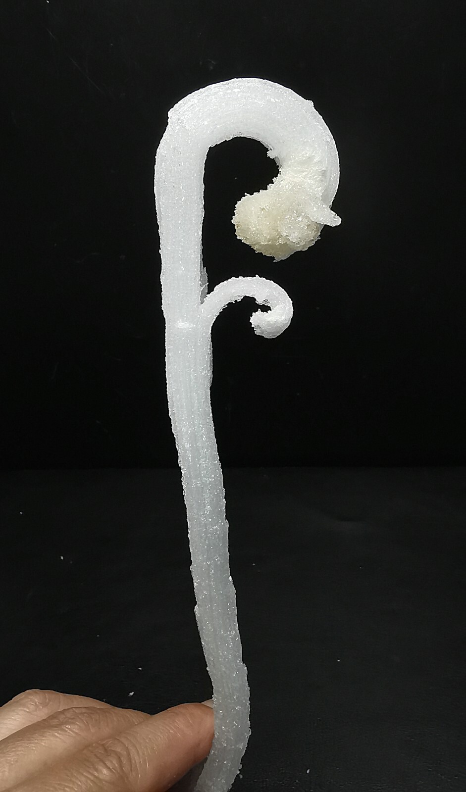 50gNatural ‘Ram’s Horn’ shape Selenite (Gypsum), Natural Mineral Specimen